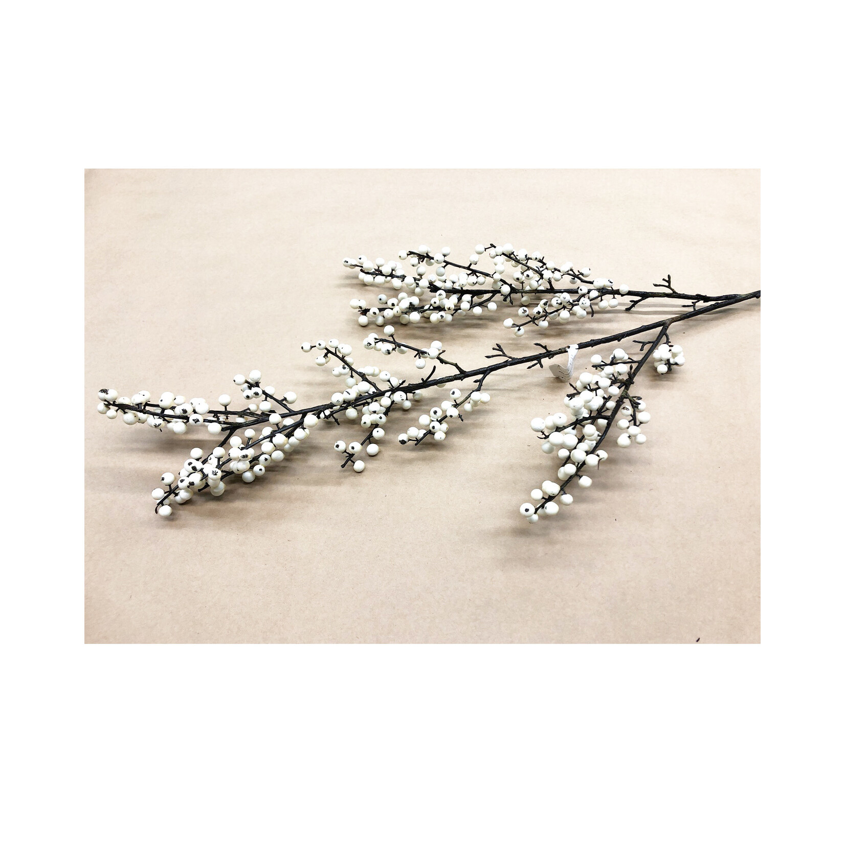 48" BERRY BRANCH CREAM