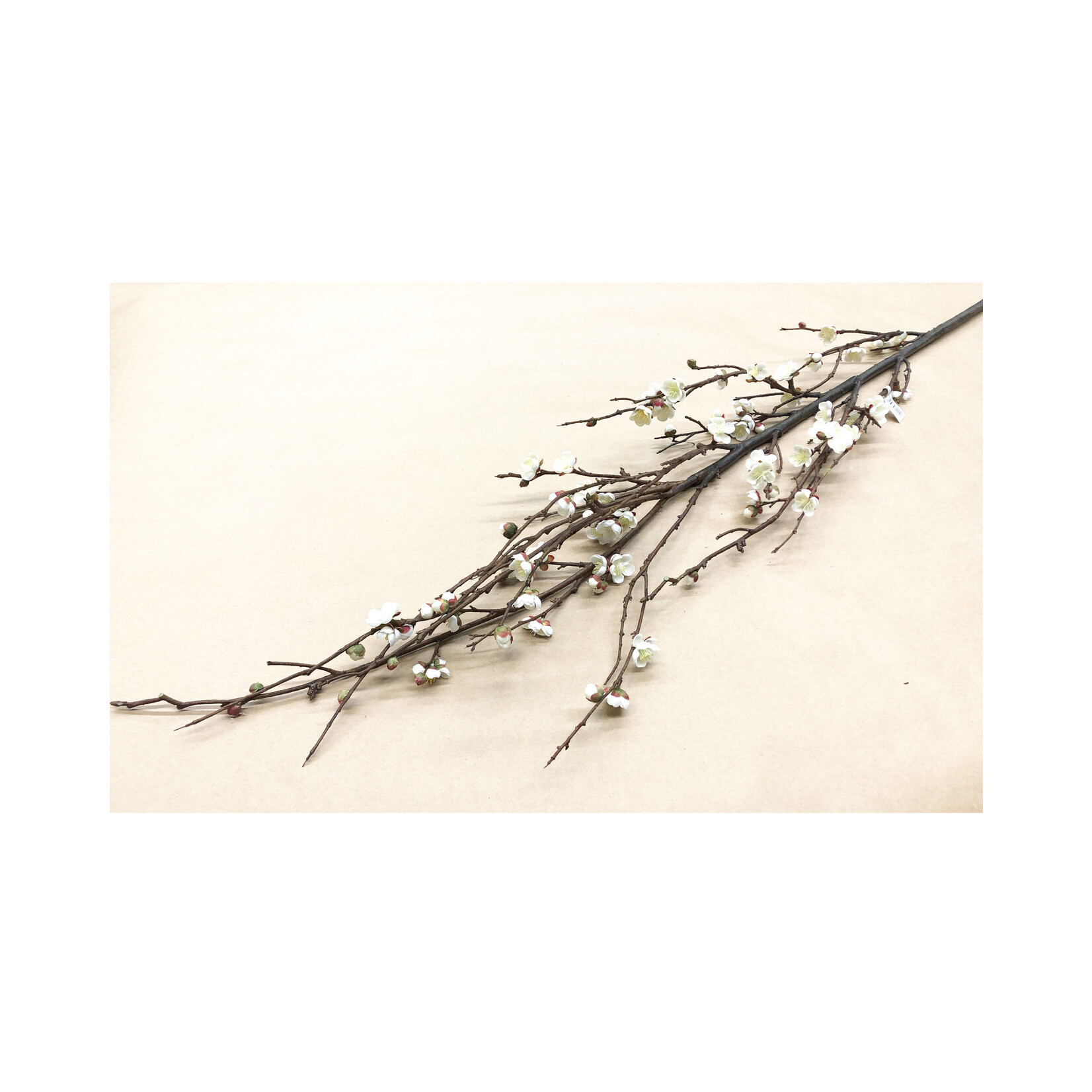 72" PLUM BLOSSOM WHITE