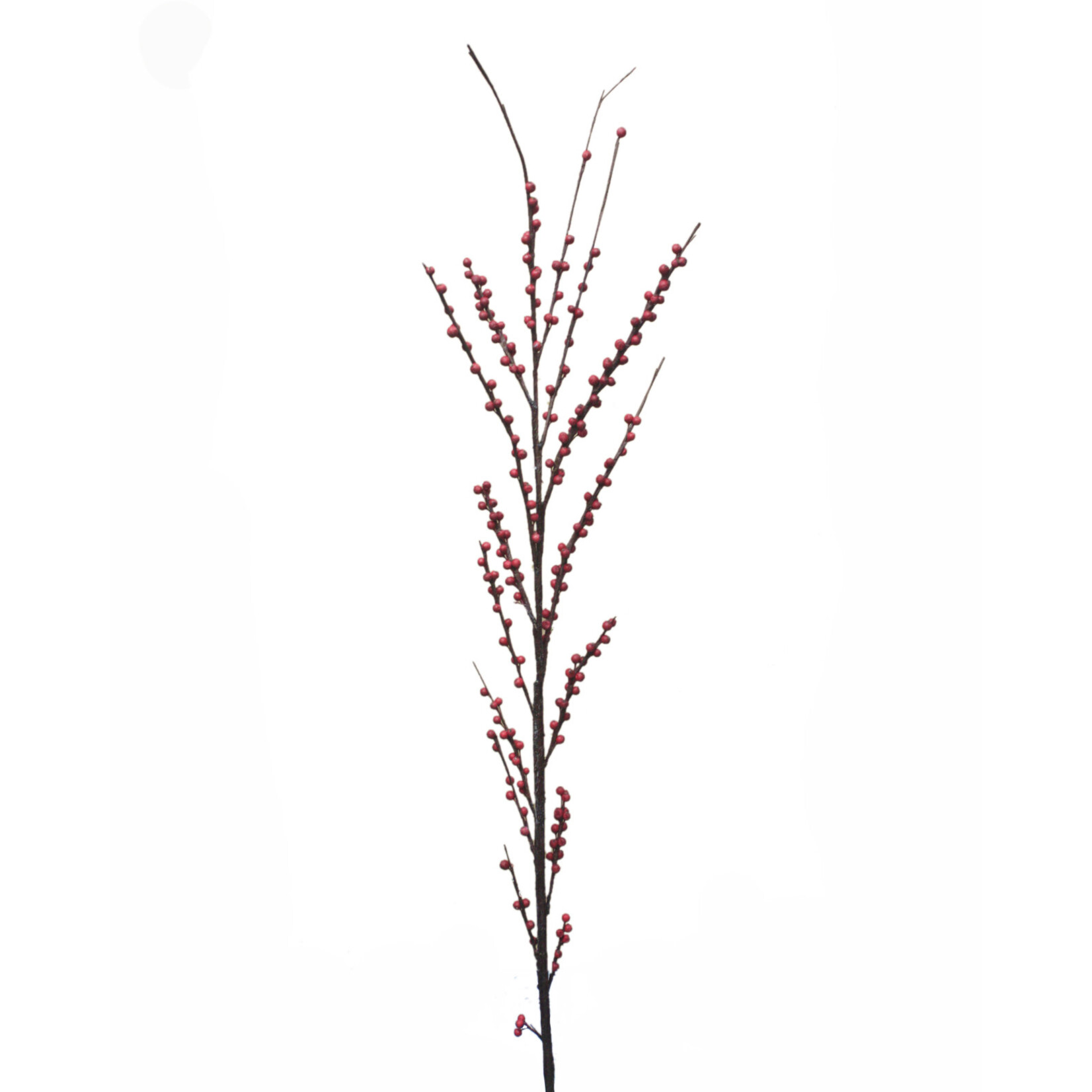 54" ILEX BERRY BRANCH RED