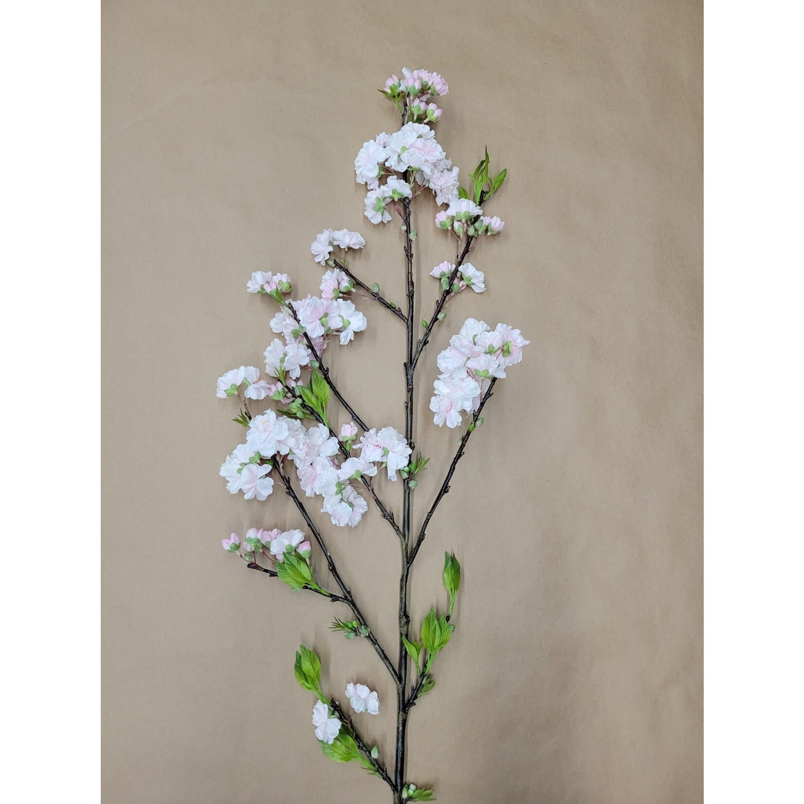 50" CHERRY BLOSSOM PINK