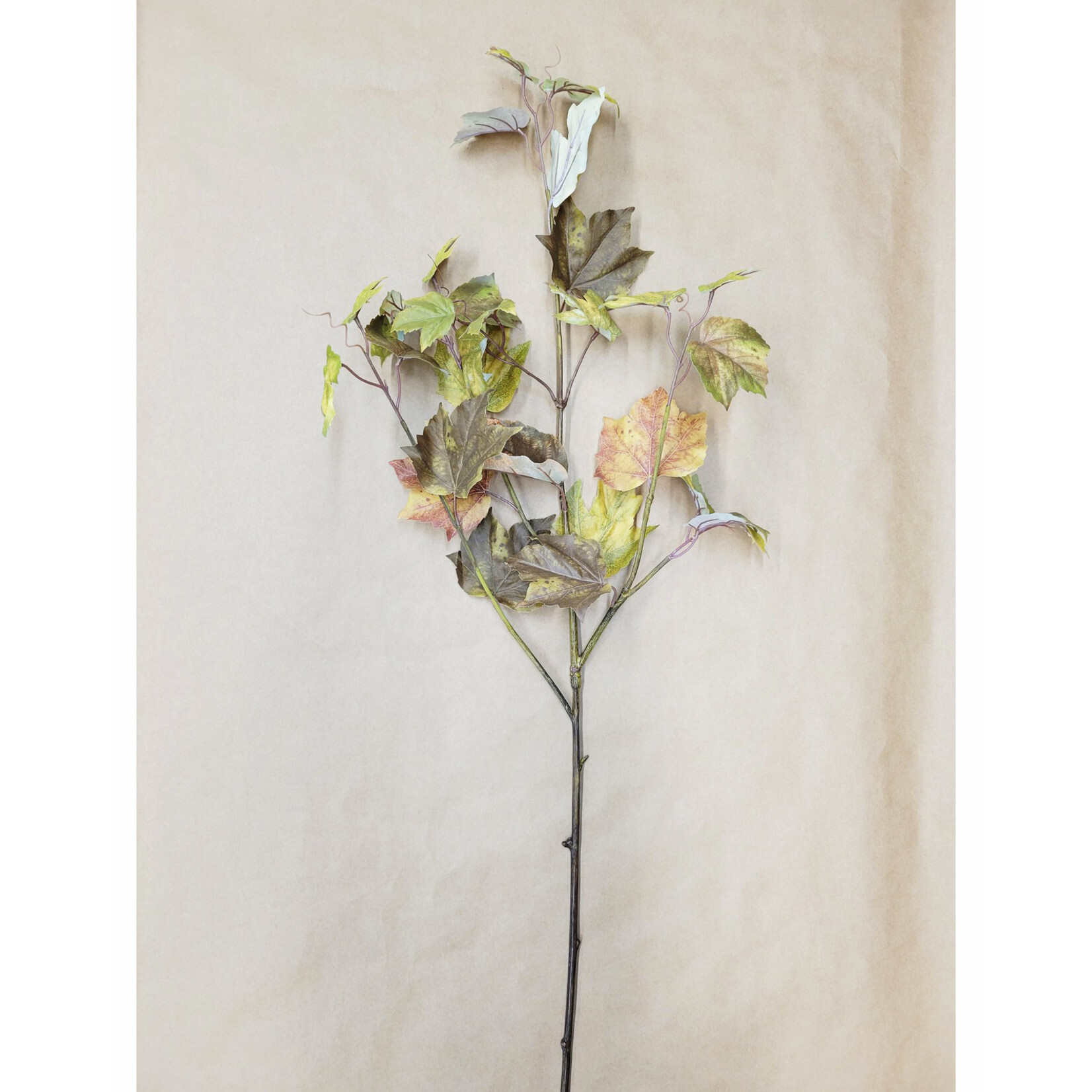 45" FALL MAPLE LEAF OCHRE