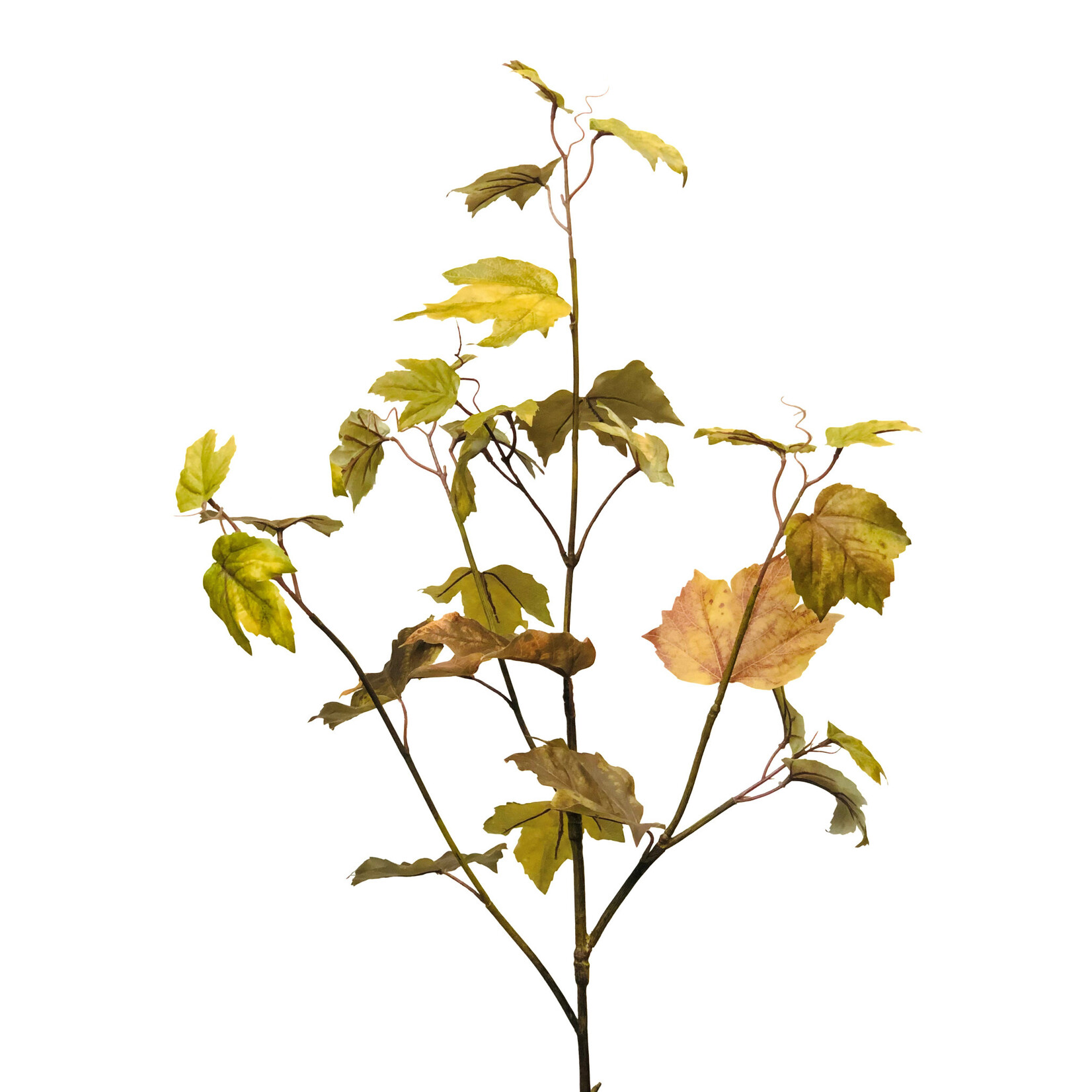 45" FALL MAPLE LEAF OCHRE