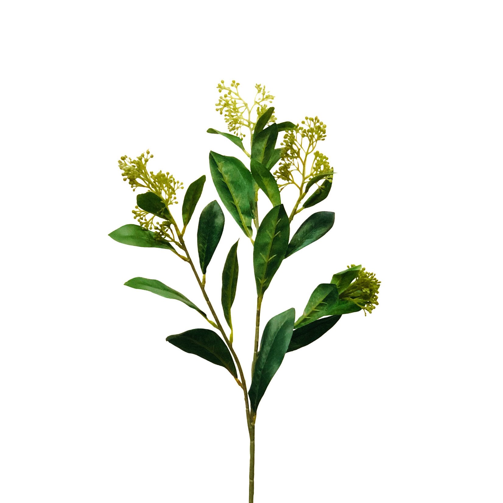 28.5" SKIMMIA SPRAY GREEN