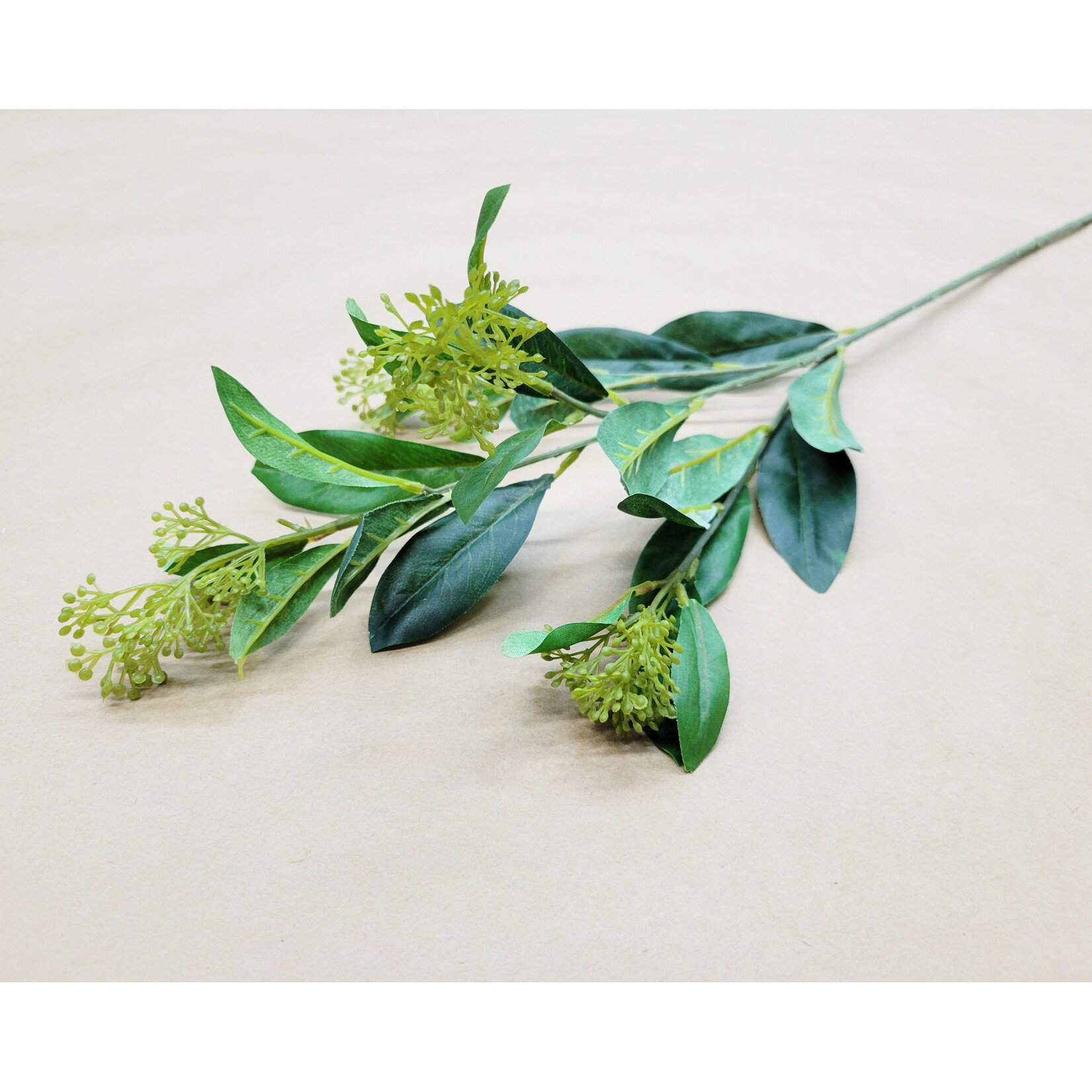 28.5" SKIMMIA SPRAY GREEN