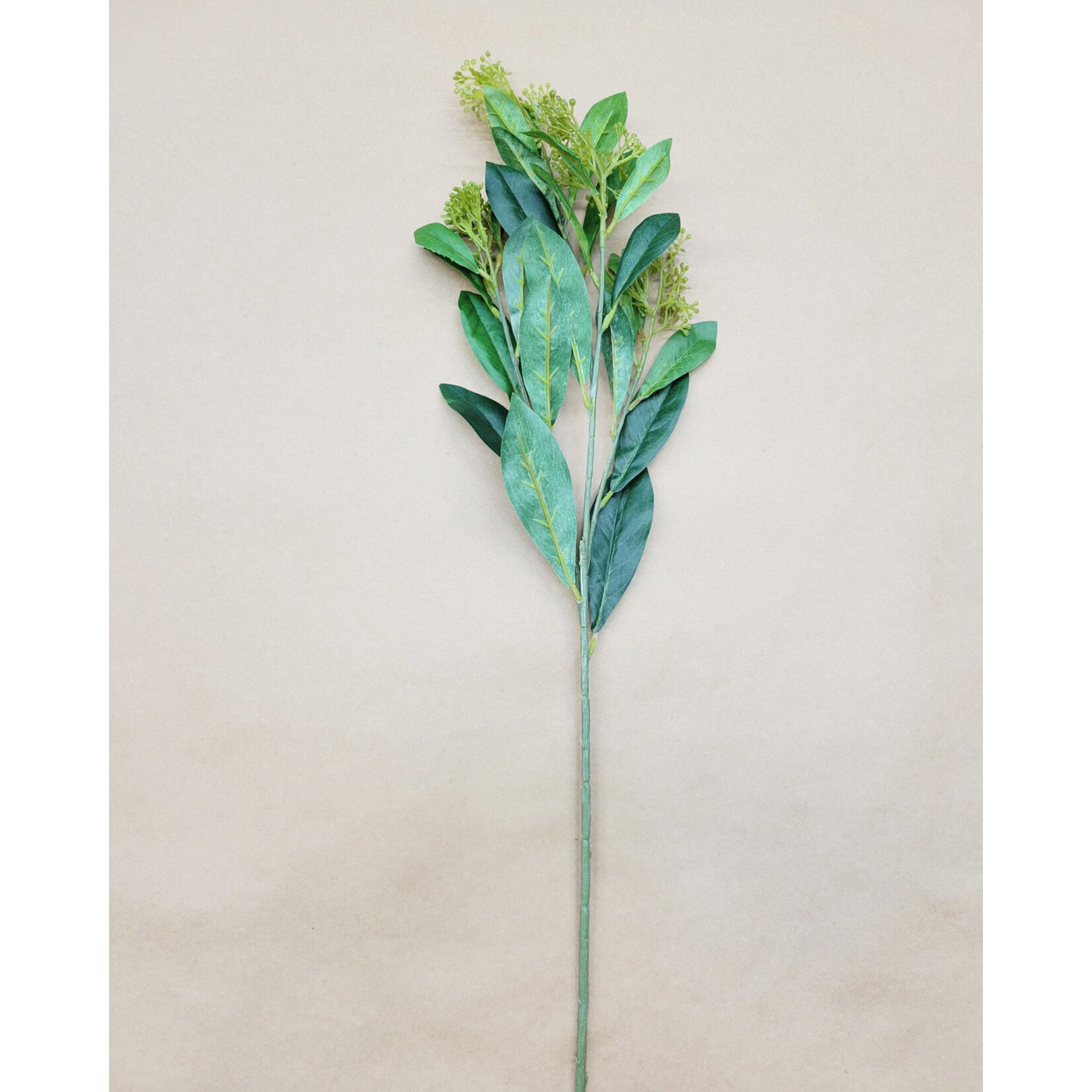 28.5" SKIMMIA SPRAY GREEN