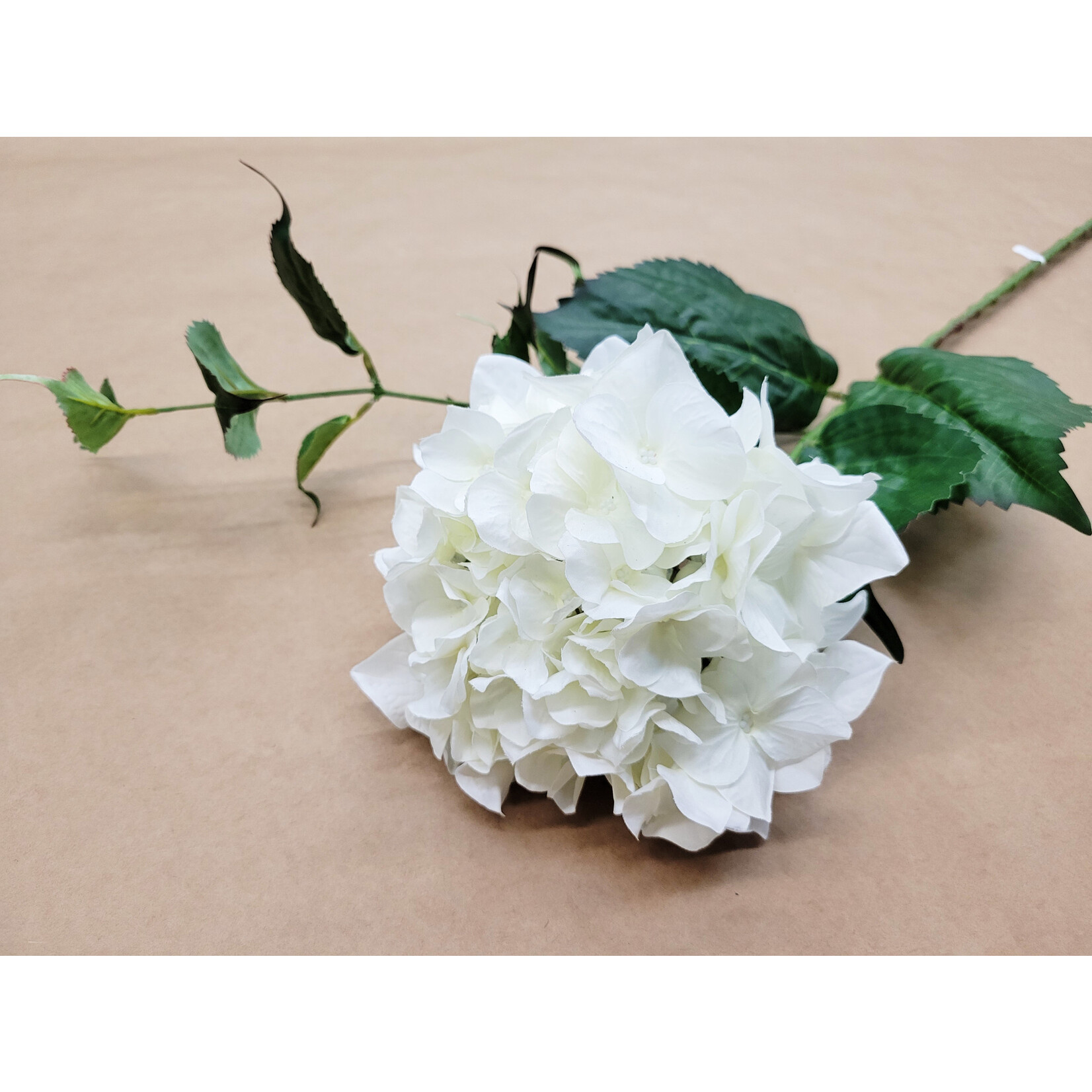 34" HYDRANGEA SPRAY CREAM WHITE