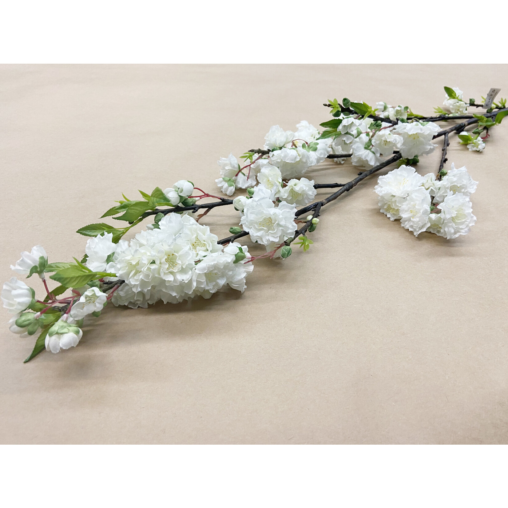50" CHERRY BLOSSOM WHITE