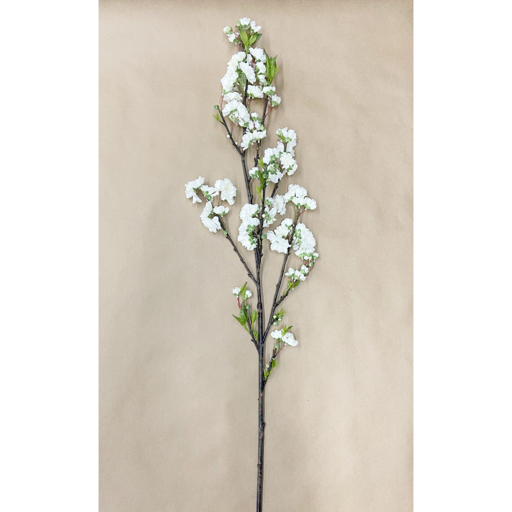 50" CHERRY BLOSSOM WHITE