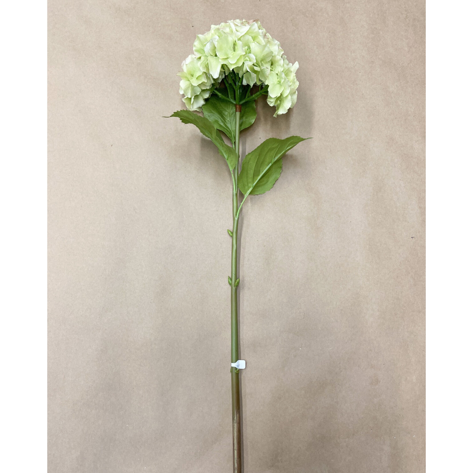 28" HYDRANGEA LIGHT GREEN