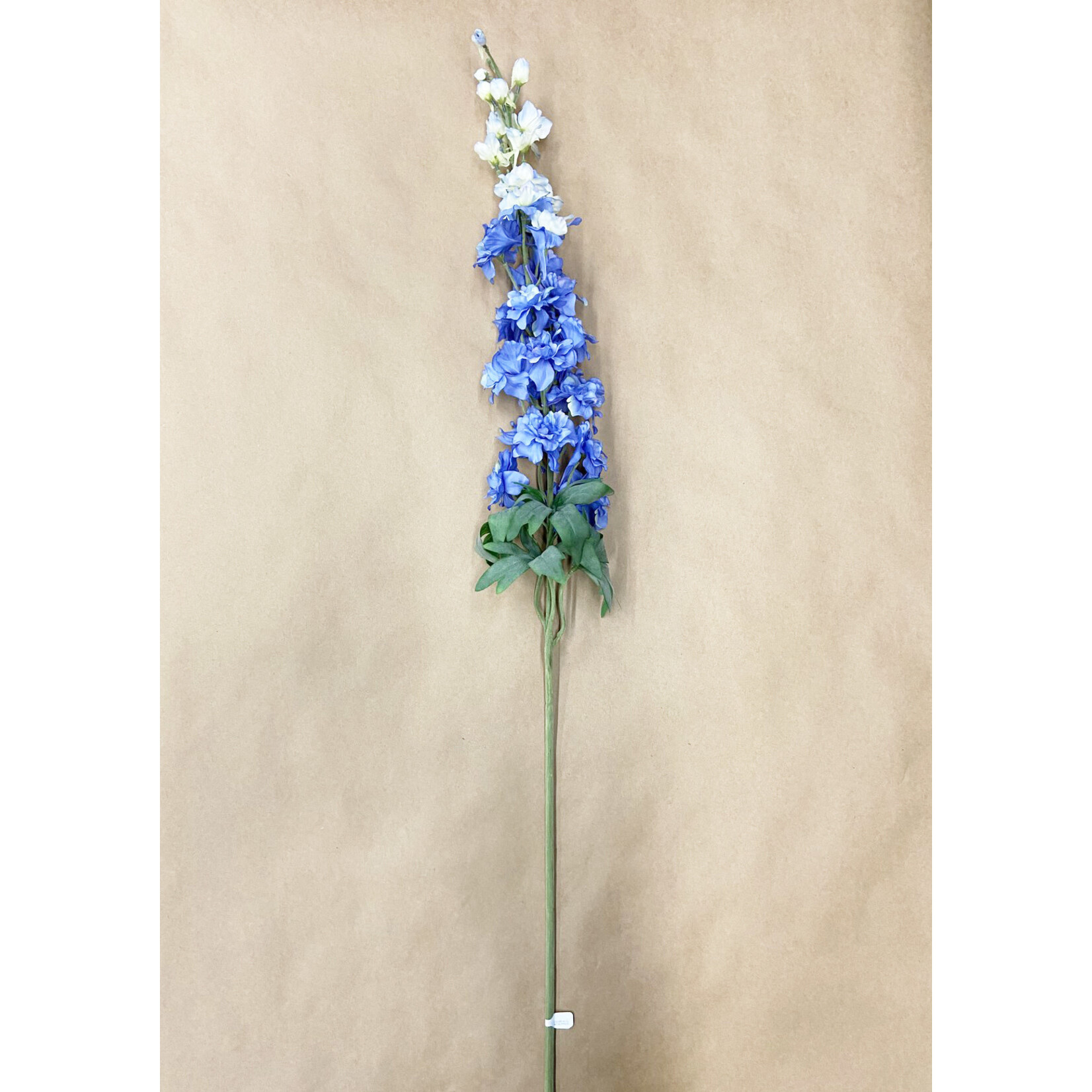 40" DELPHINIUM SPRAY BLUE DELPHINIUM
