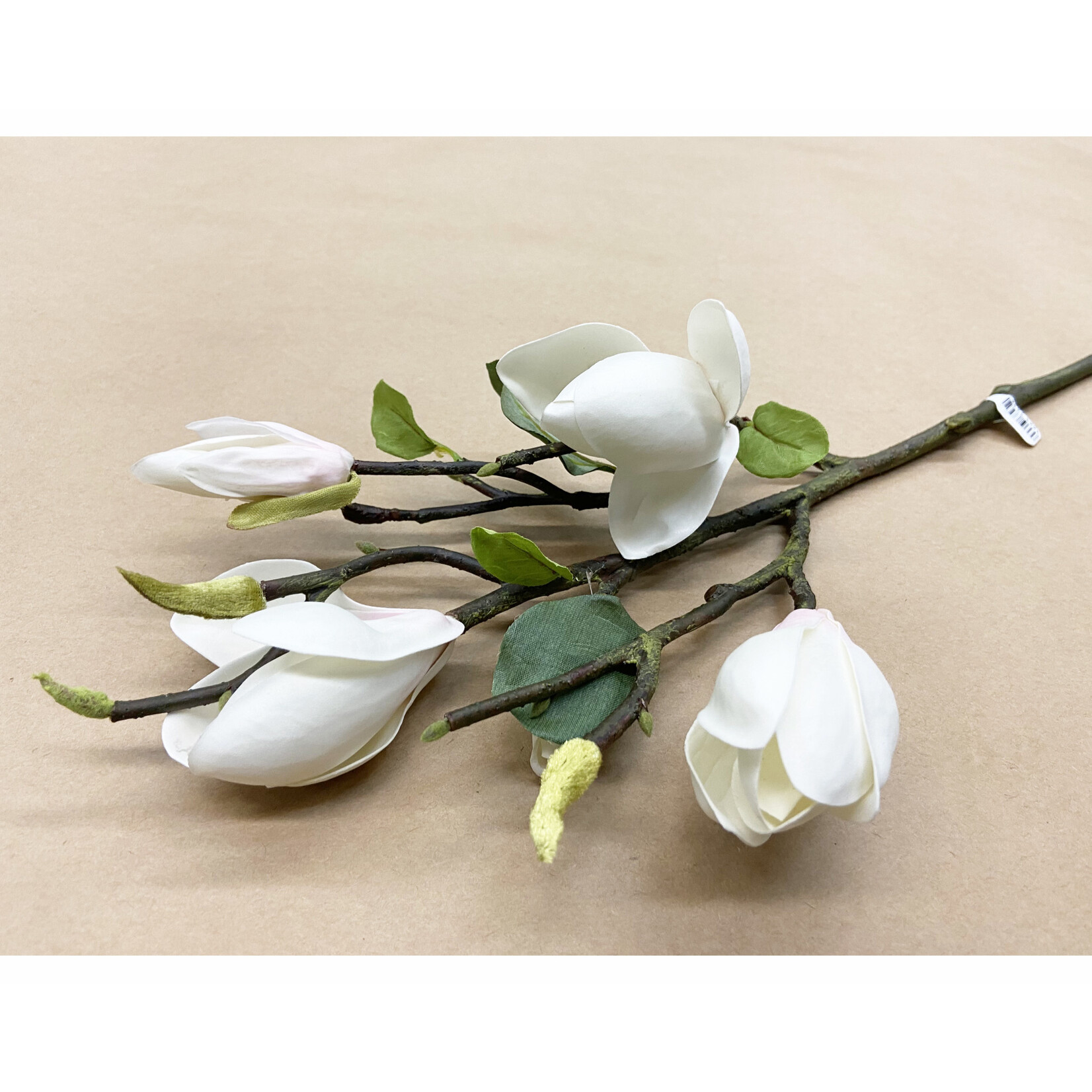 20'' TREE MAGNOLIA PICK CHAMPAGNE