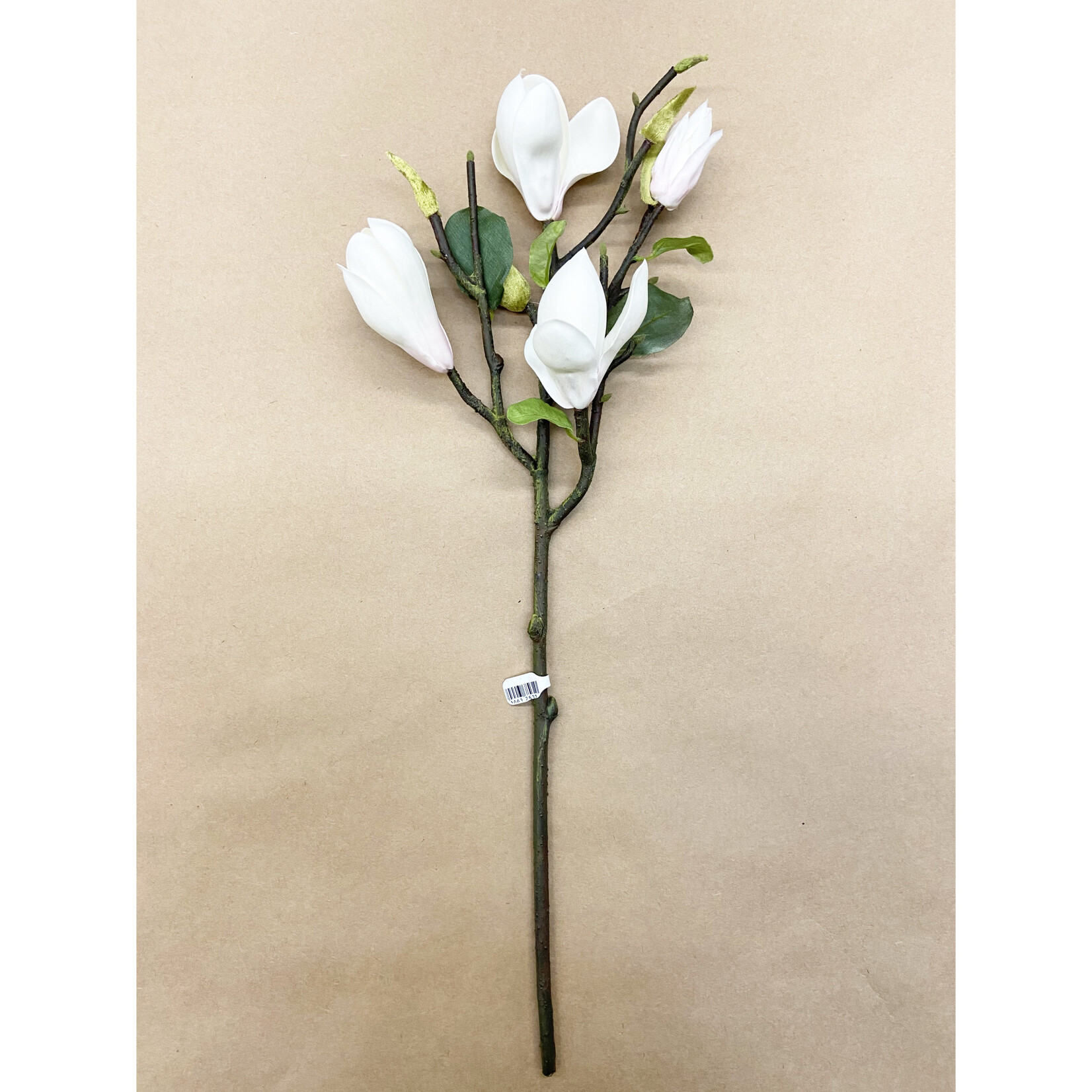 20'' TREE MAGNOLIA PICK CHAMPAGNE