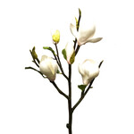 CSM107-CH: 20'' TREE MAGNOLIA PICK CHAMPAGNE