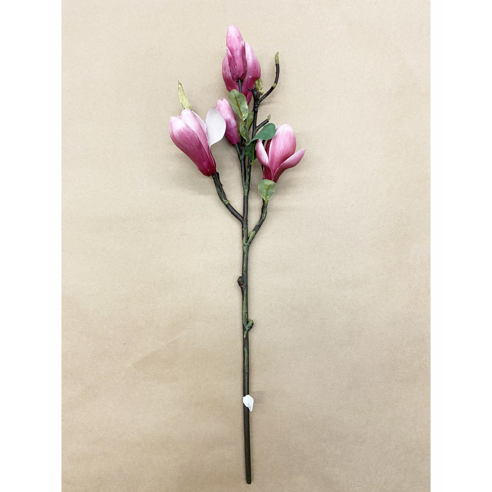 20'' TREE MAGNOLIA PICK FUCHSIA