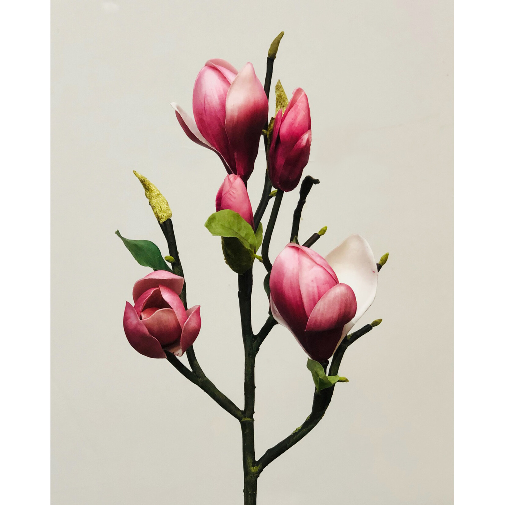 20'' TREE MAGNOLIA PICK FUCHSIA