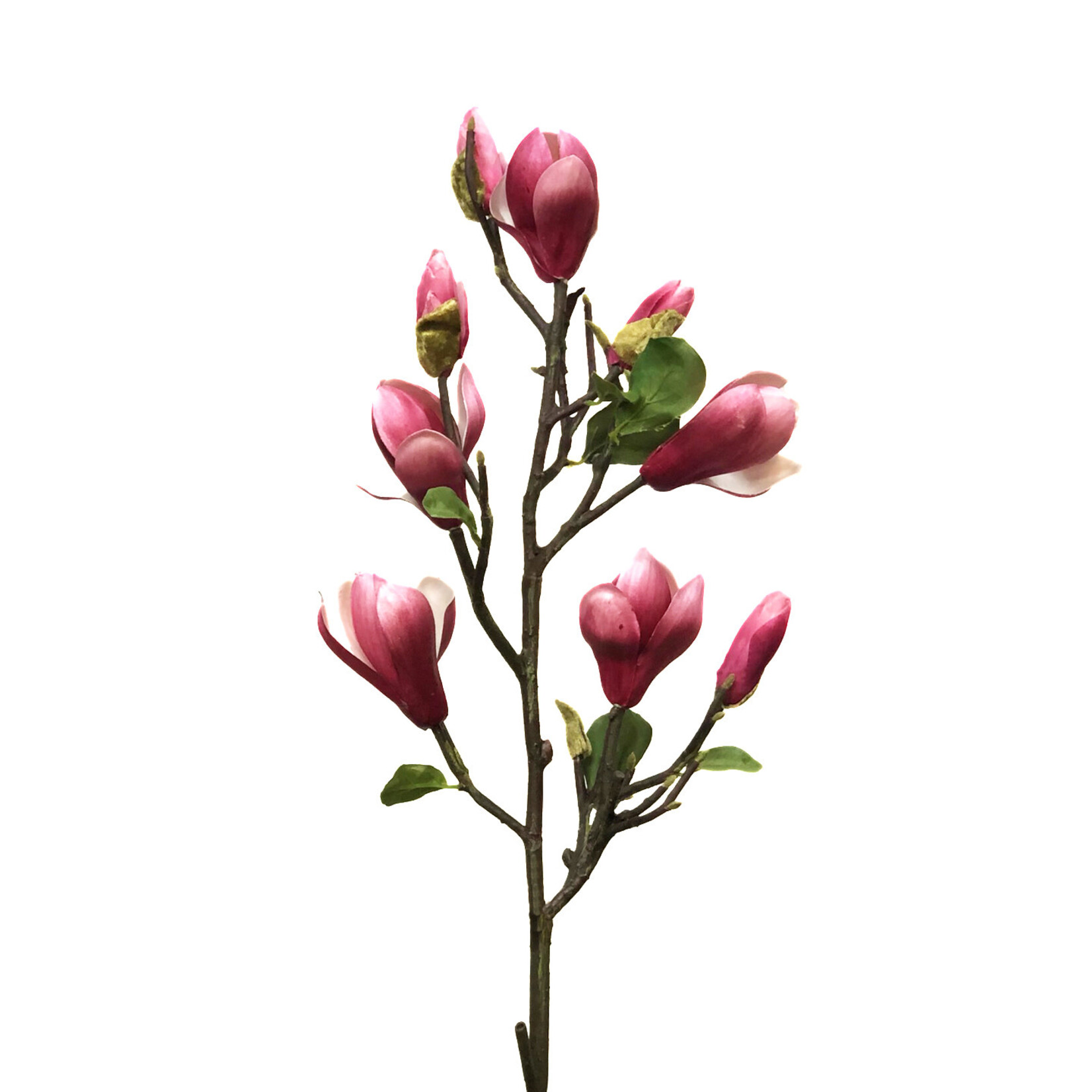 32" MAGNOLIA TREE SPRAY FUCHSIA