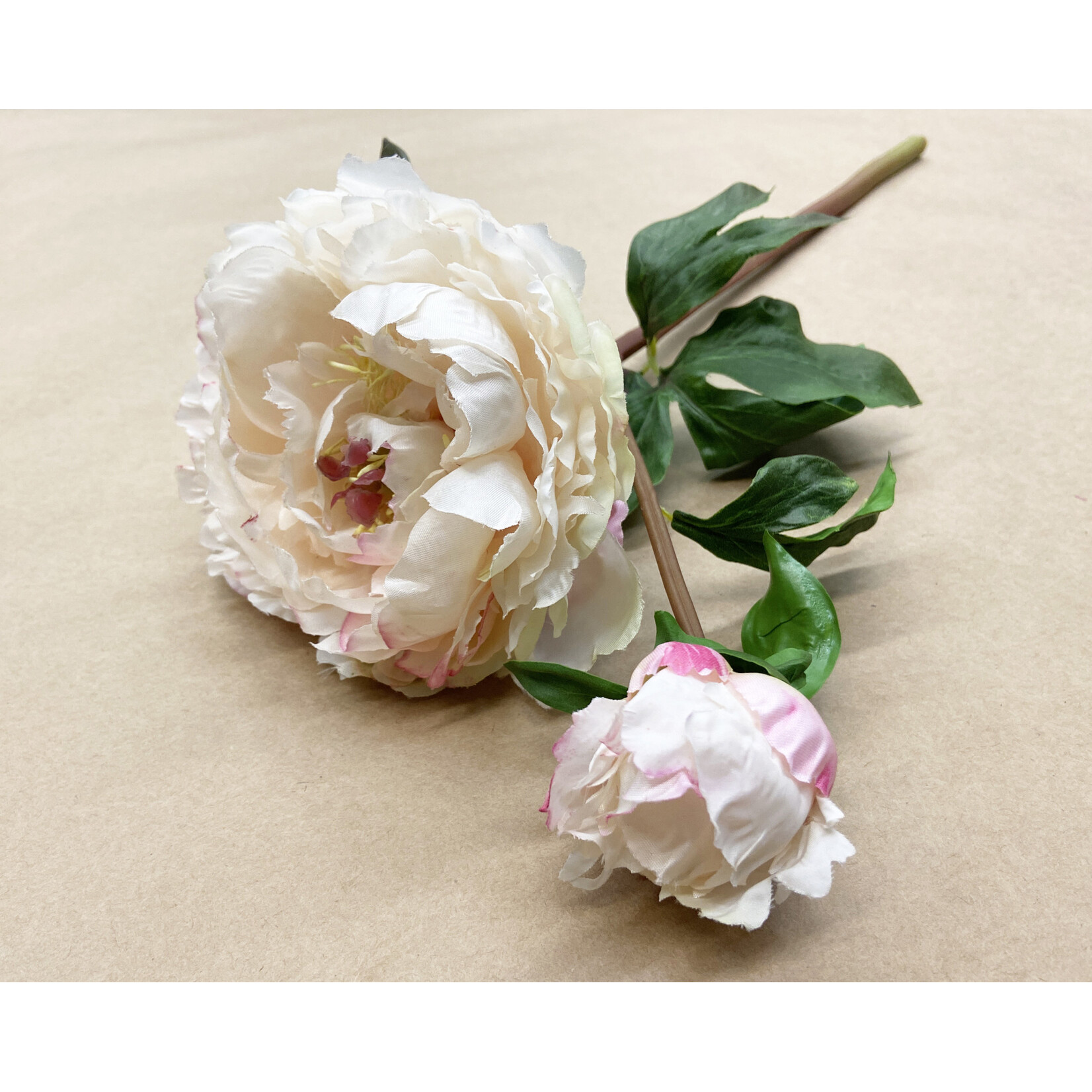 21.5" OPEN PEONY SHORT STEM CREAM