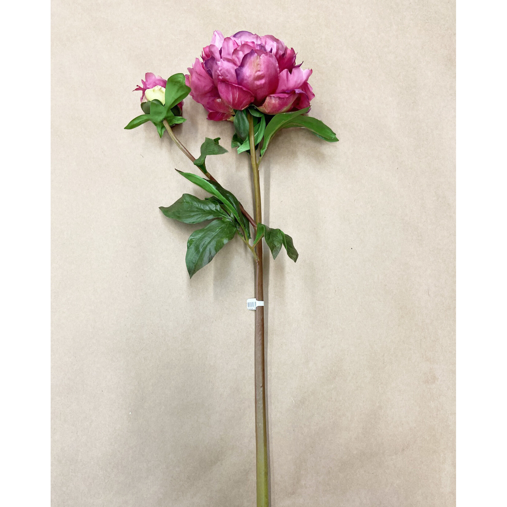21.5" OPEN PEONY SHORT STEM ORCHID