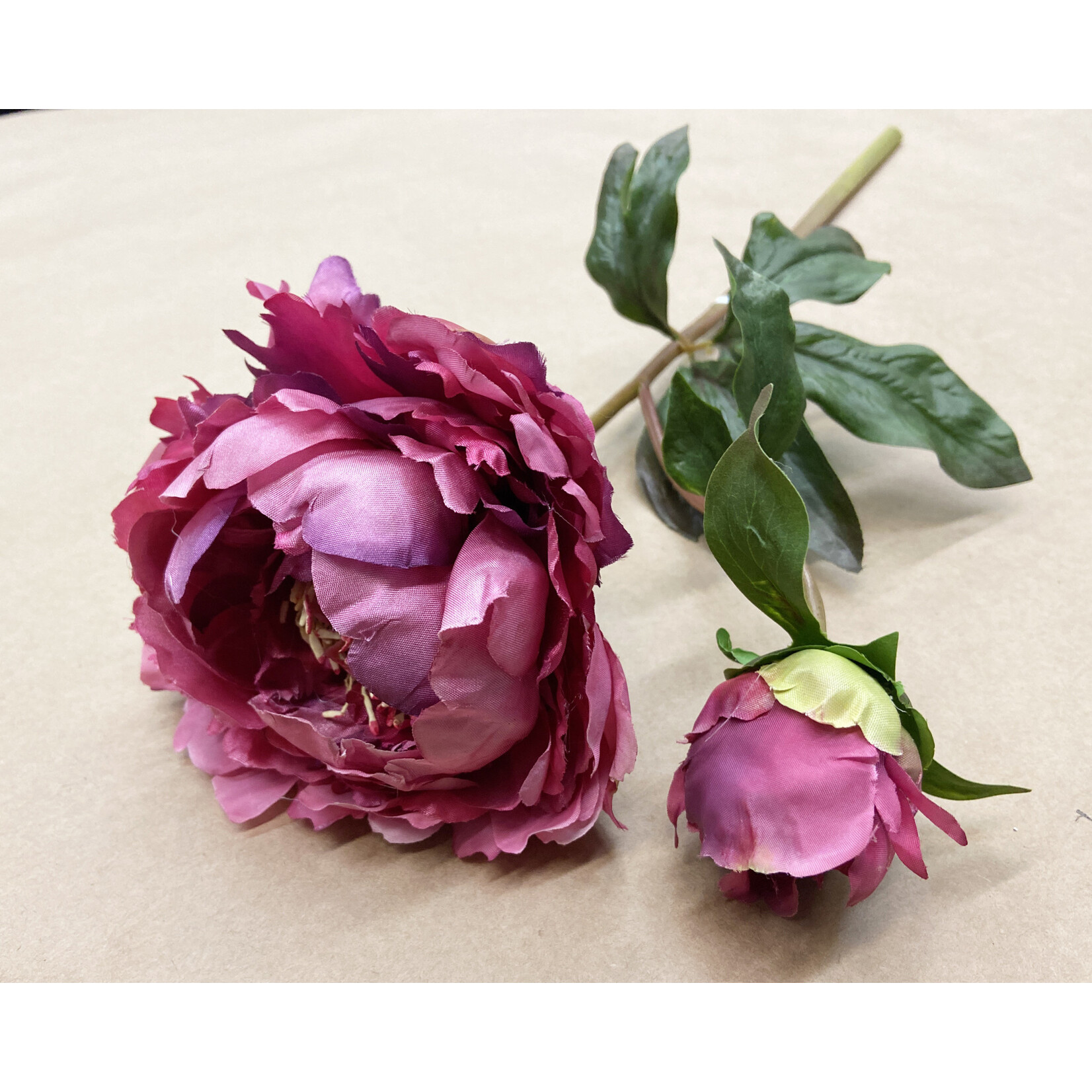 21.5" OPEN PEONY SHORT STEM ORCHID