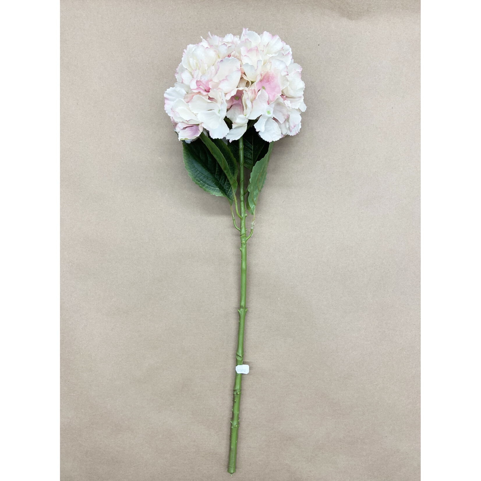 26" HYDRANGEA SPRAY ROSE CREAM