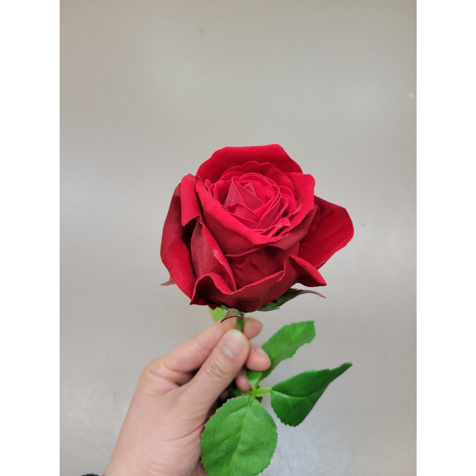 28" ROSE STEM RED