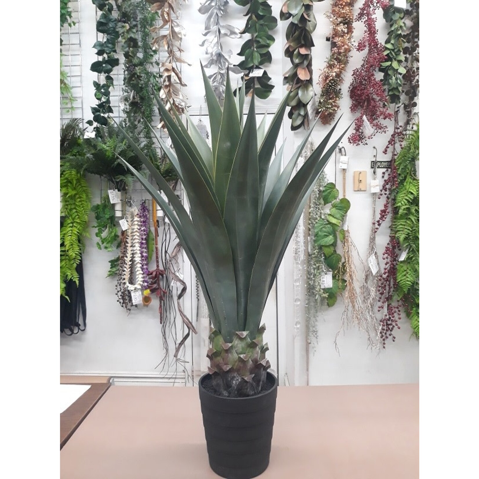 41" SISAL PLANT IN POT GREEN