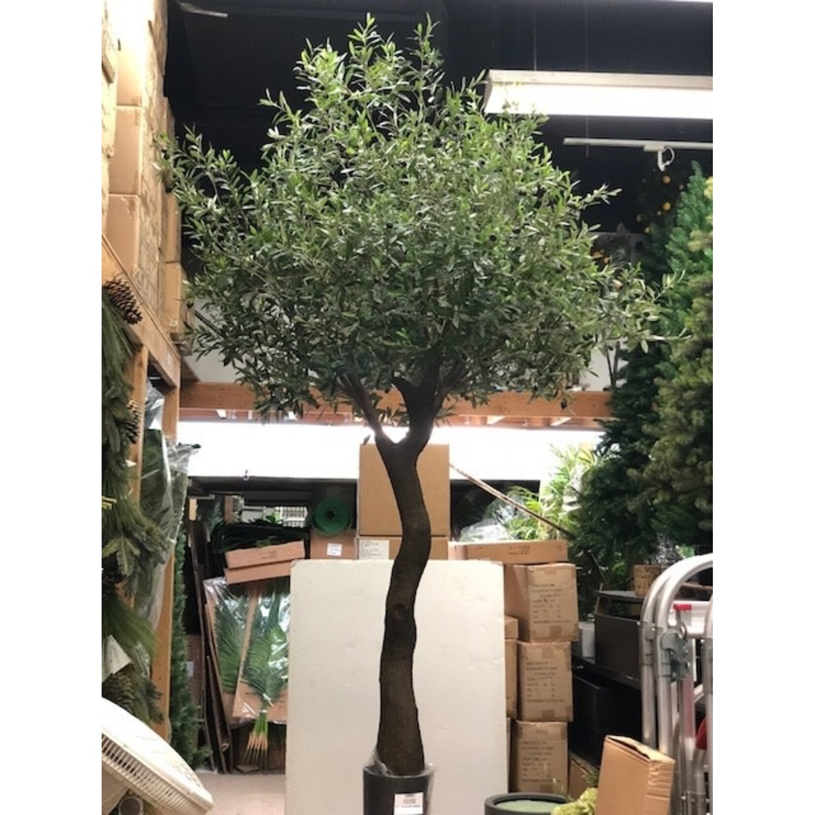 7' OLIVE TREE GREEN BLACK