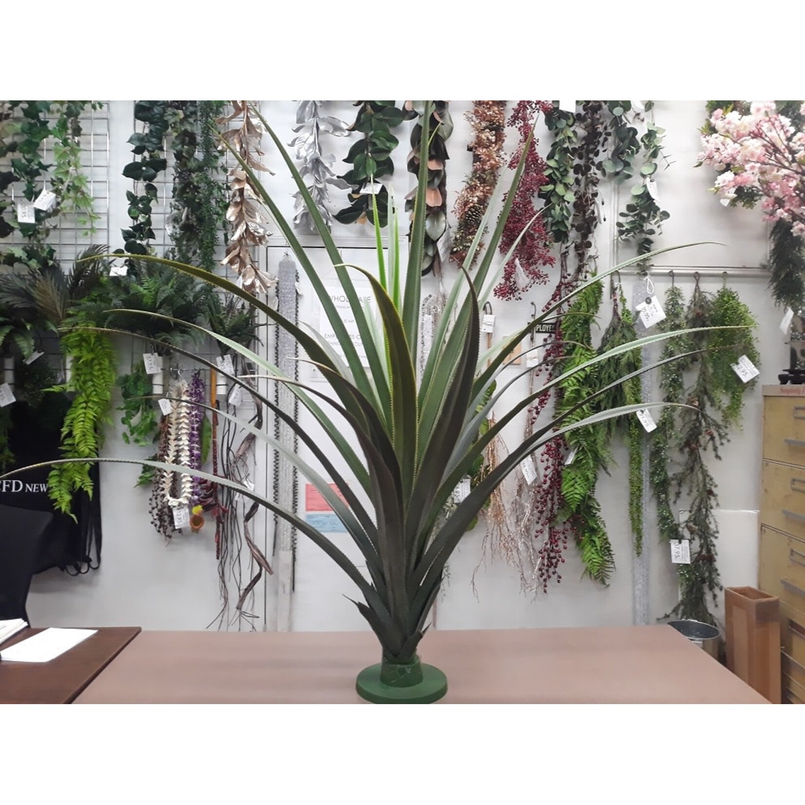 55" DRACAENA DRACO BASE PLANT GREEN TWO TONE