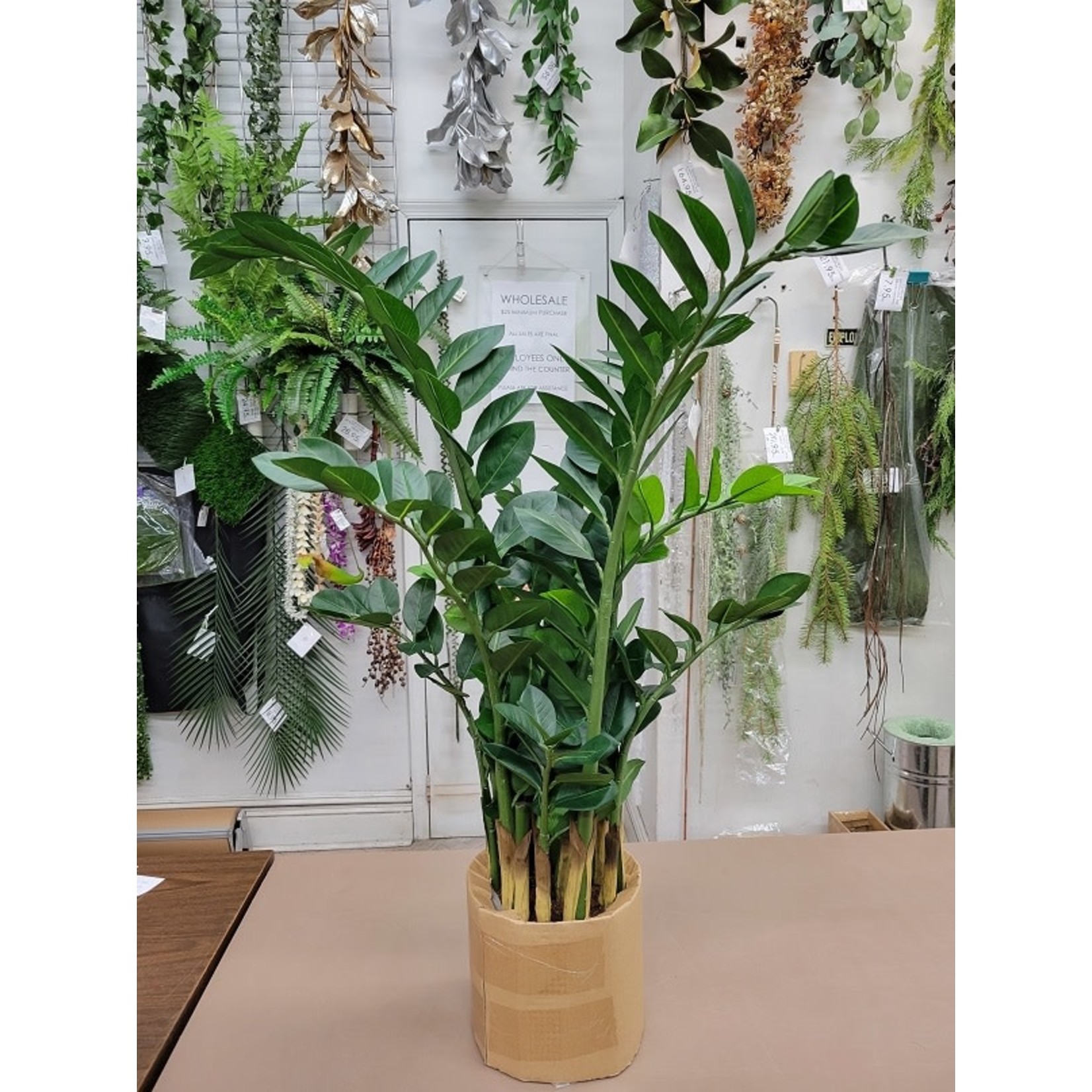 42" ZAMIOCULCAS PLANT IN POT GREEN