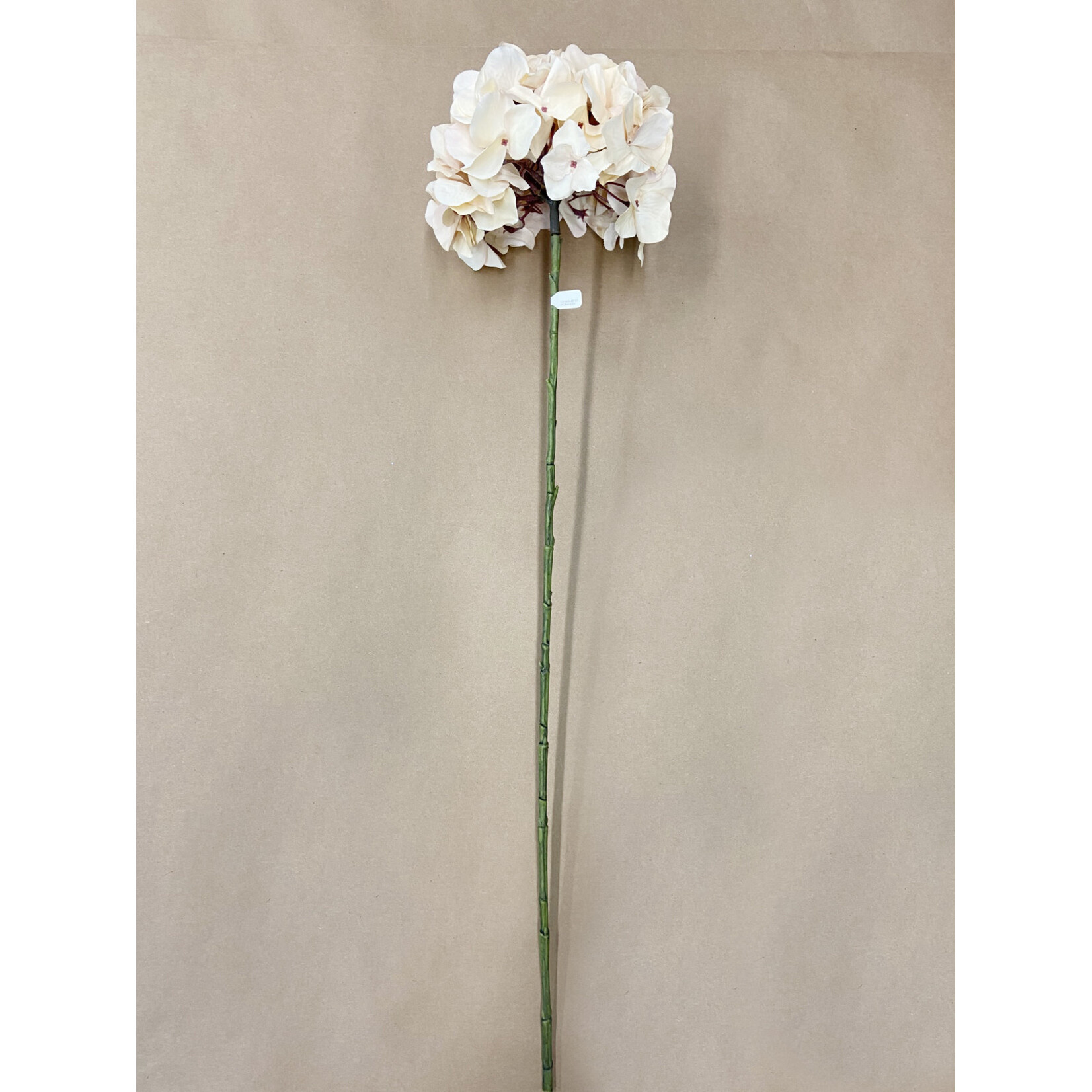 30" HYDRANGEA SPRAY BEIGE