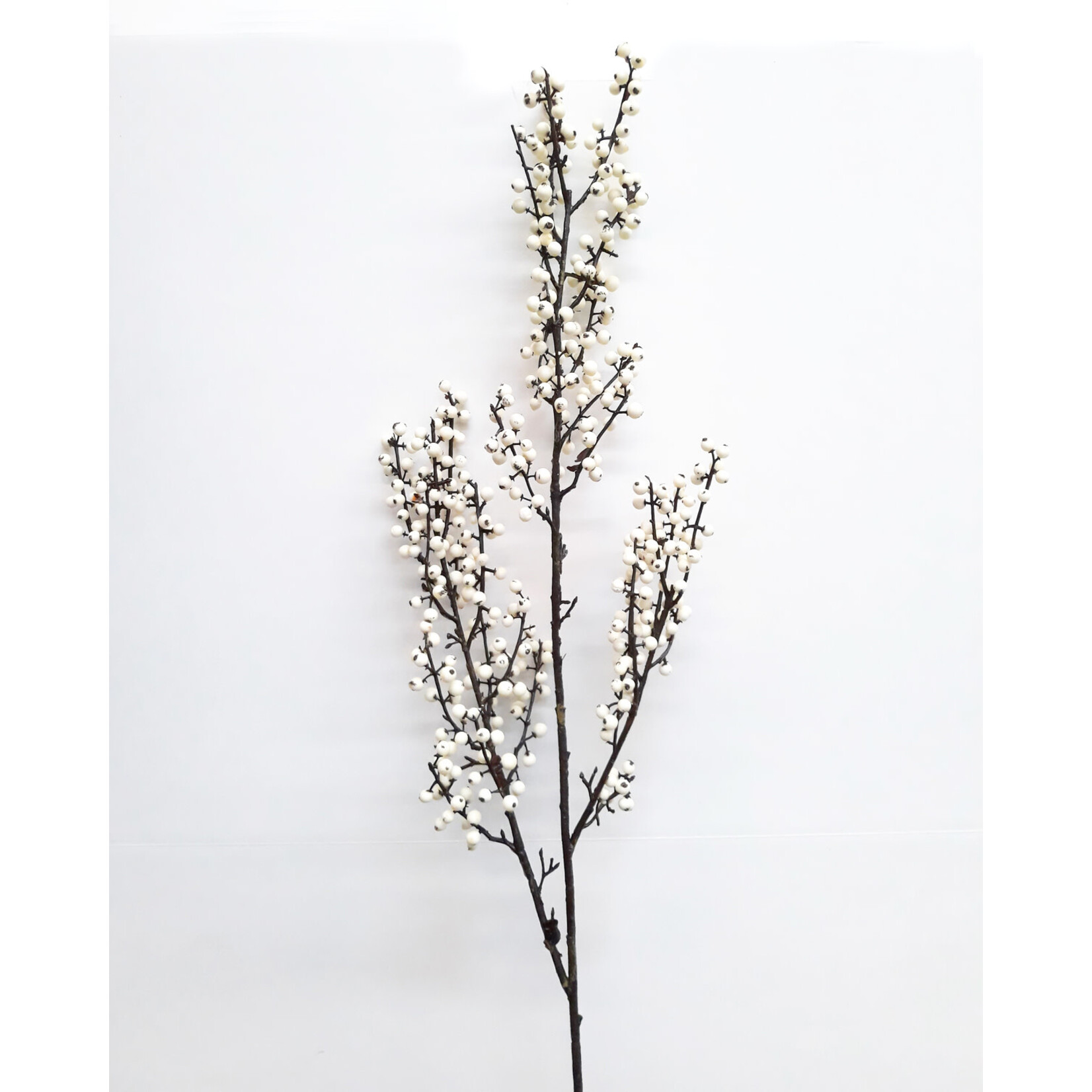 48" BERRY BRANCH CREAM