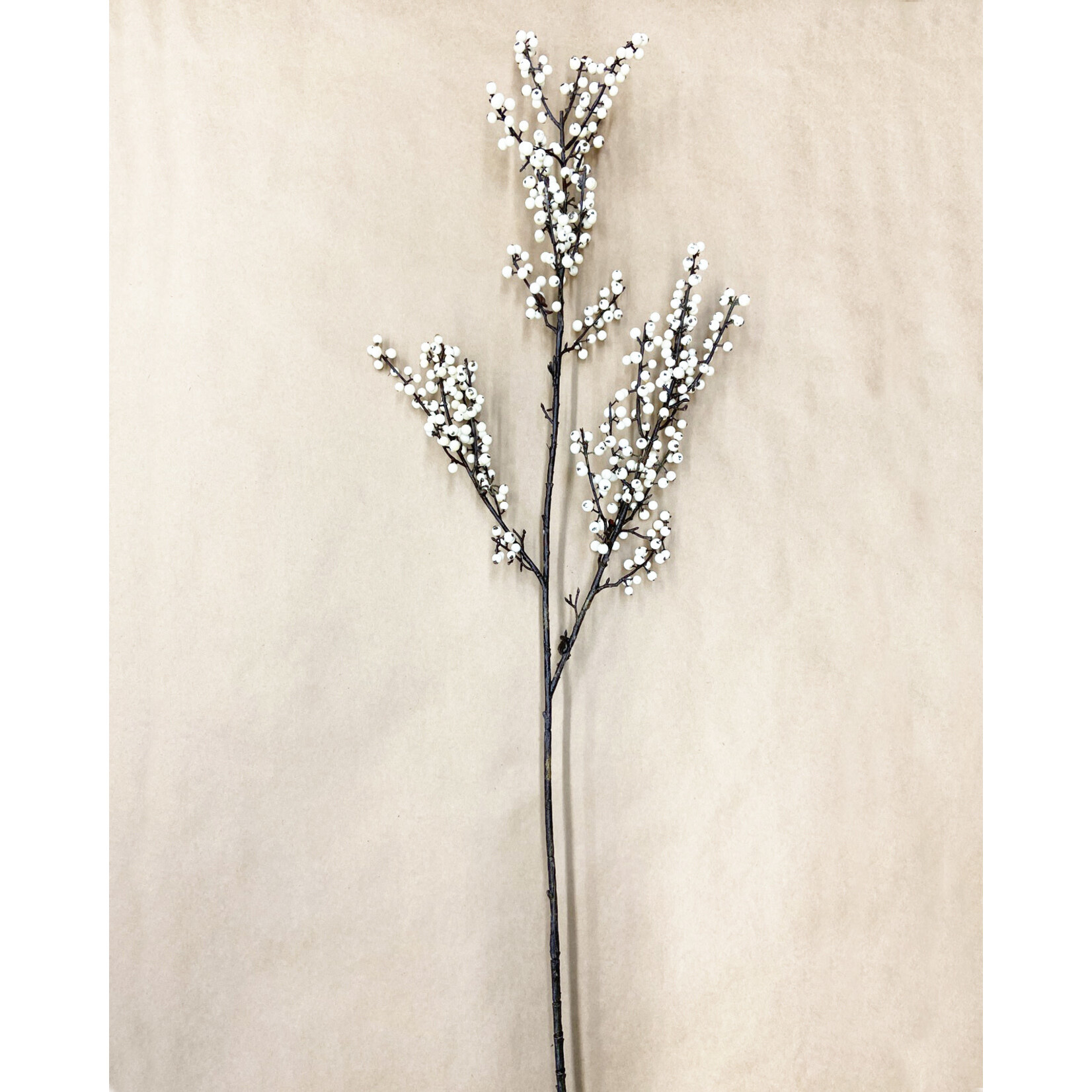 48" BERRY BRANCH CREAM