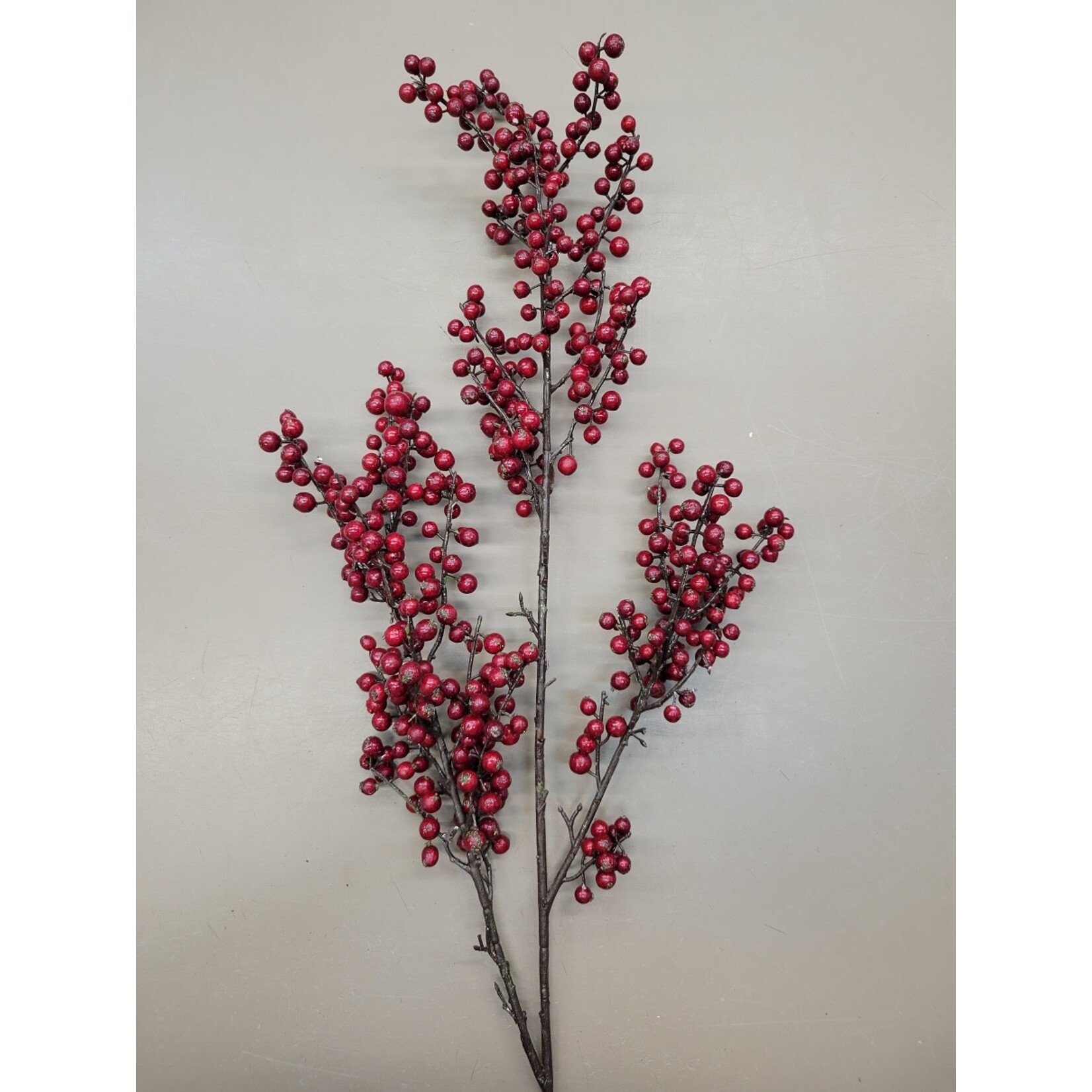 48" BERRY BRANCH RED