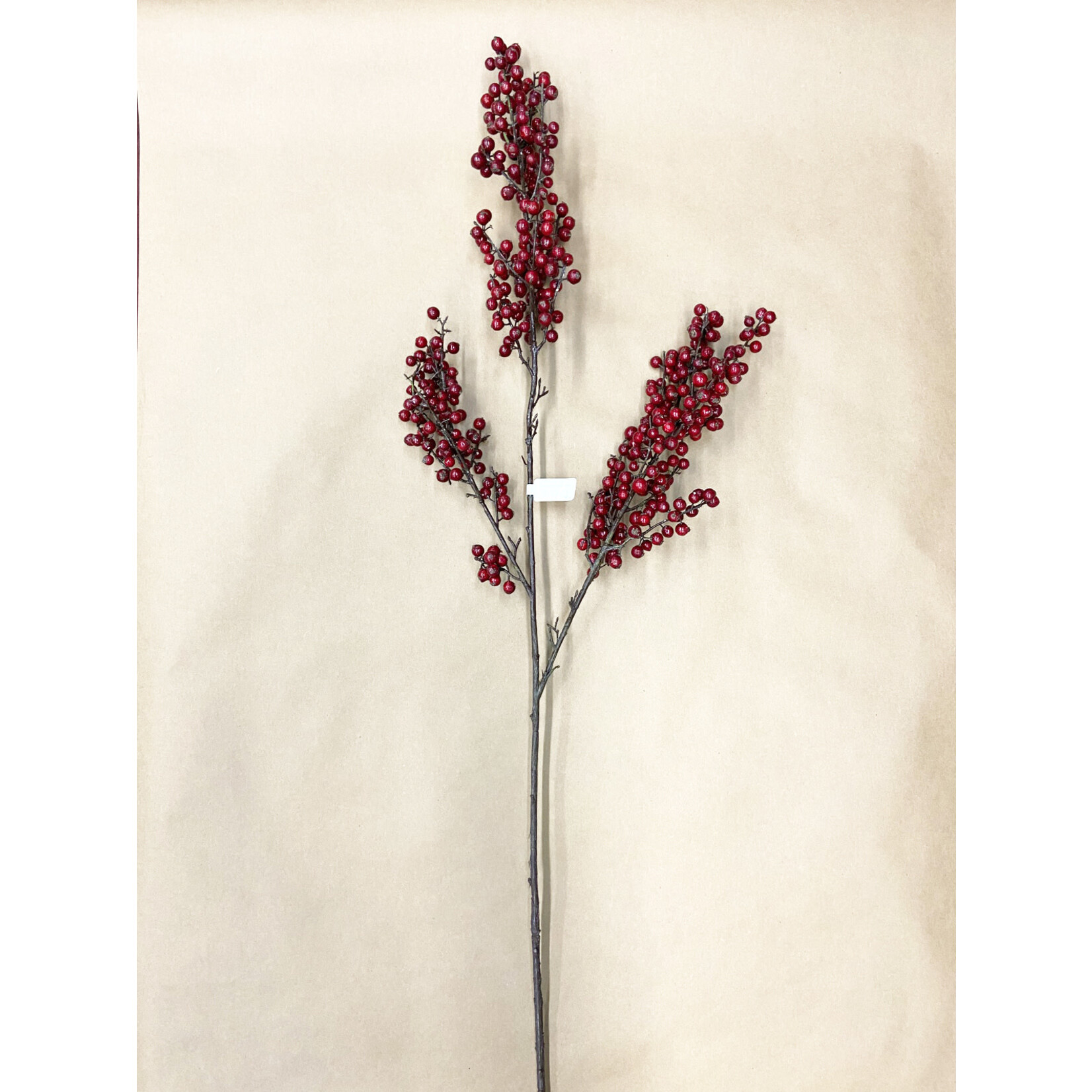 48" BERRY BRANCH RED