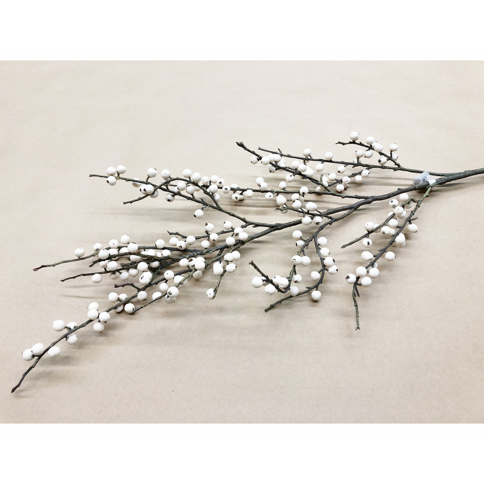 48"BERRY BRANCH CREAM