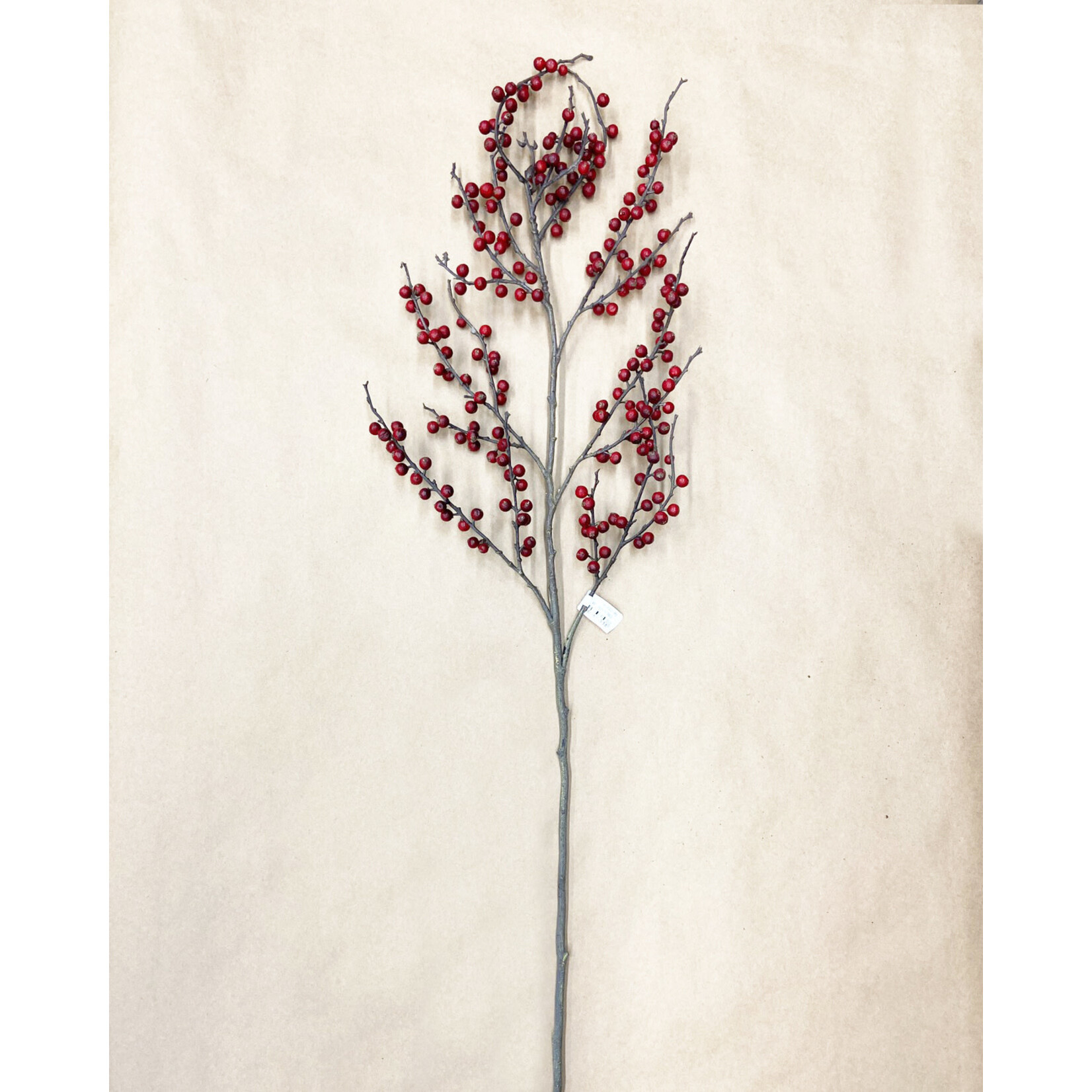 48" BERRY BRANCH RED