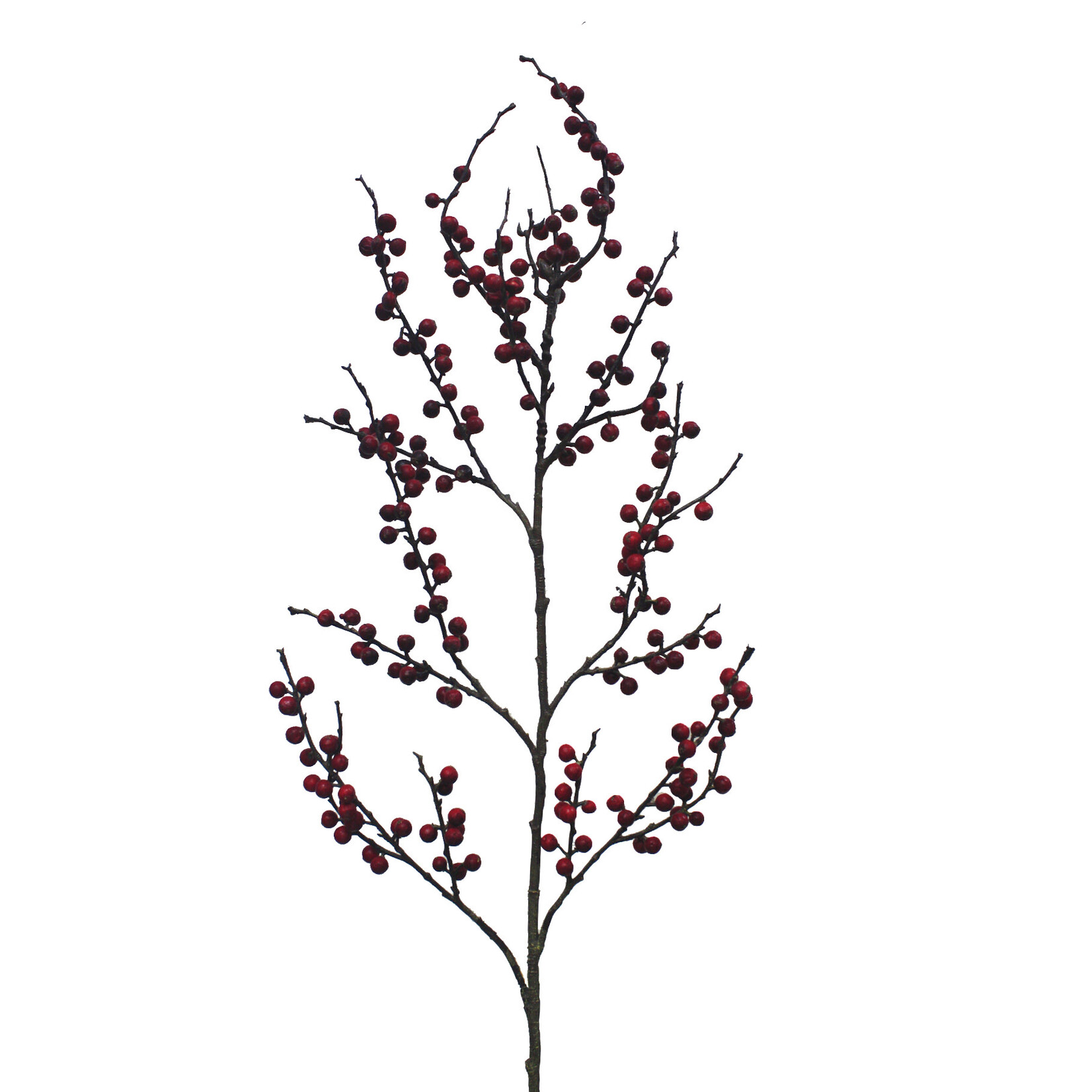 48" BERRY BRANCH RED