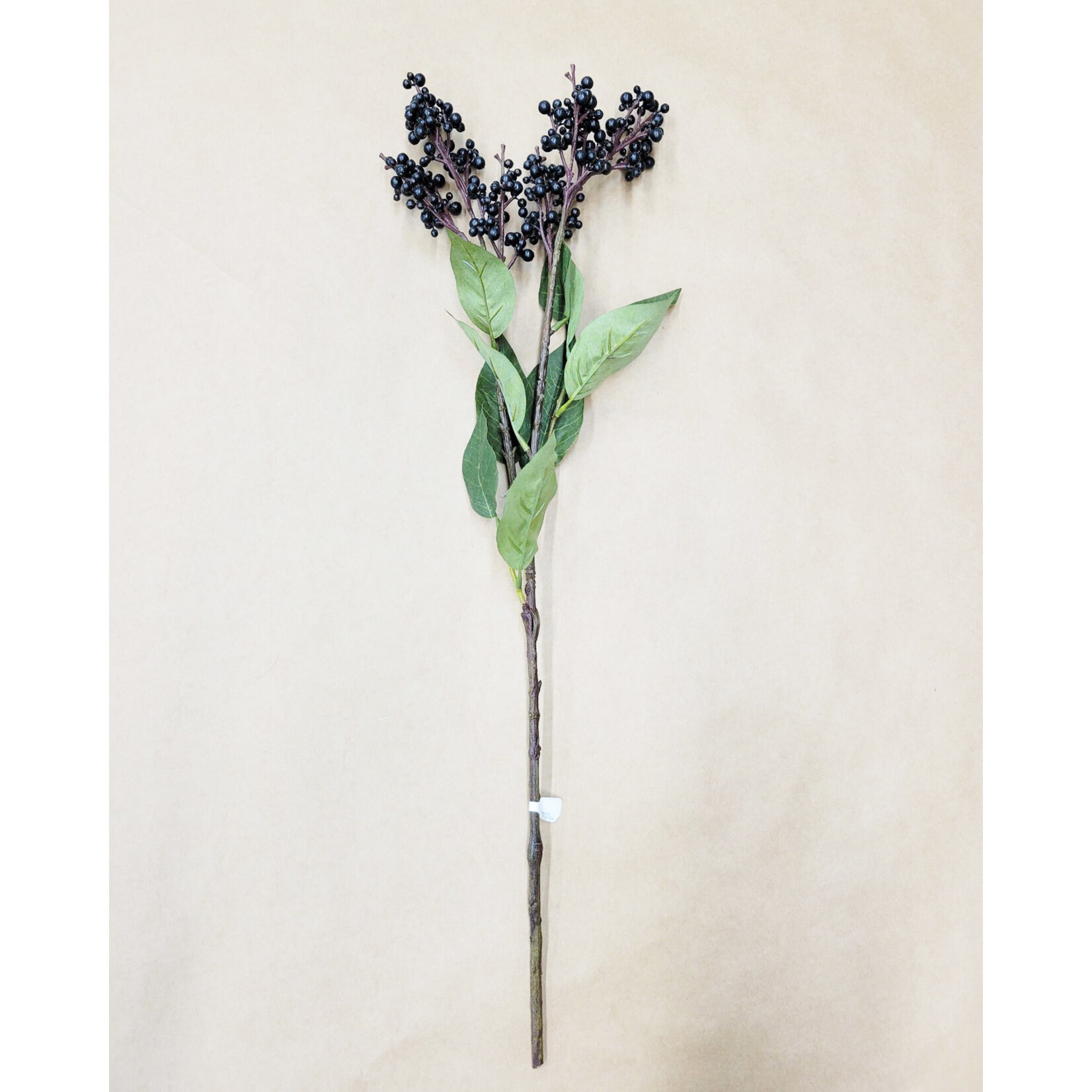 25.25" LECOSDA BERRY SPRAY BLACK