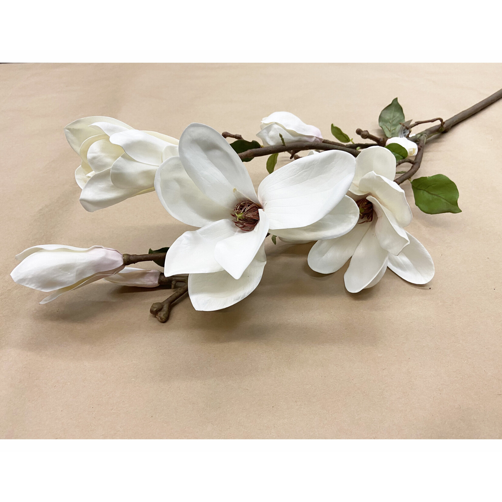 43" TREE MAGNOLIA BRANCH CHAMPAGNE