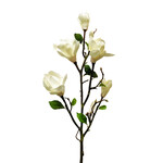 CSM728-CH: 43" TREE MAGNOLIA BRANCH CHAMPAGNE