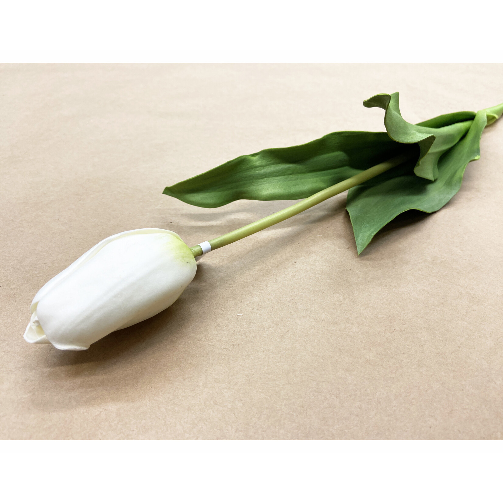 24.5" CLOSED DUTCH TULIP WHITE