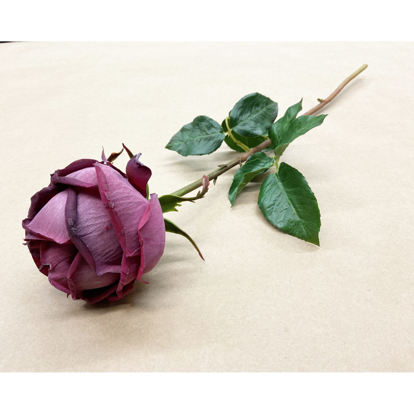 20.5" YORK ROSE STEM AMERICAN BEAUTY