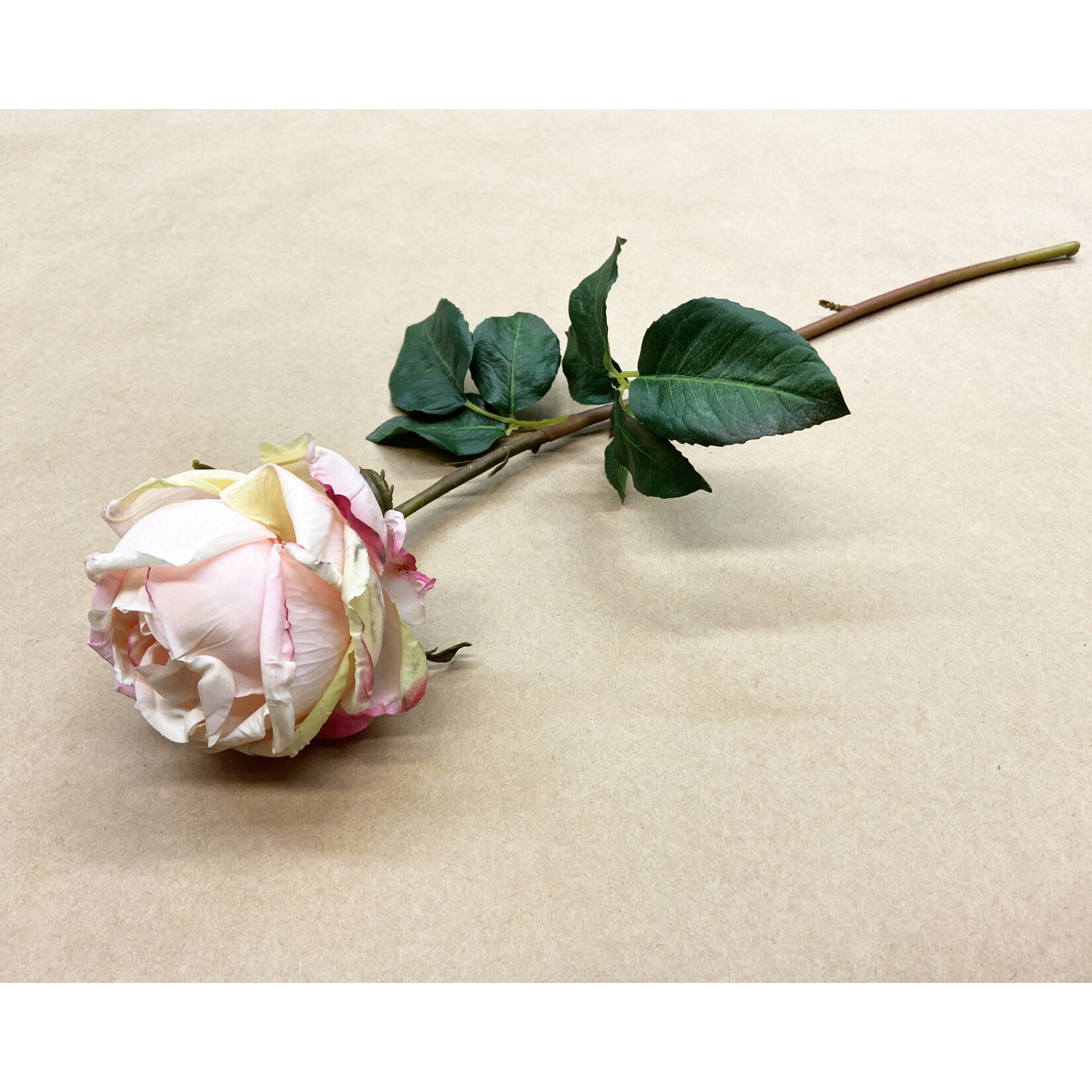 20.5" YORK ROSE STEM - PINK/RED