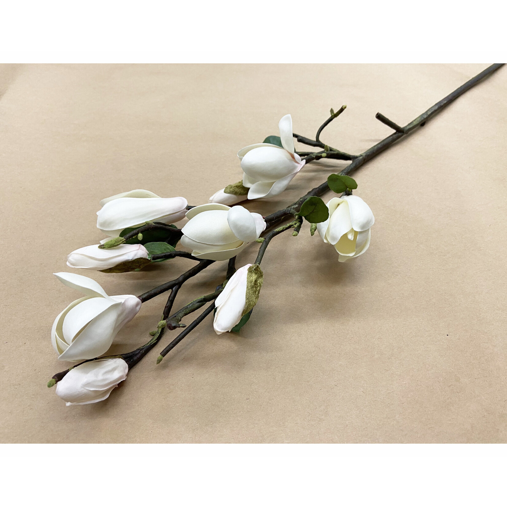 32" MAGNOLIA TREE SPRAY CHAMPAGNE