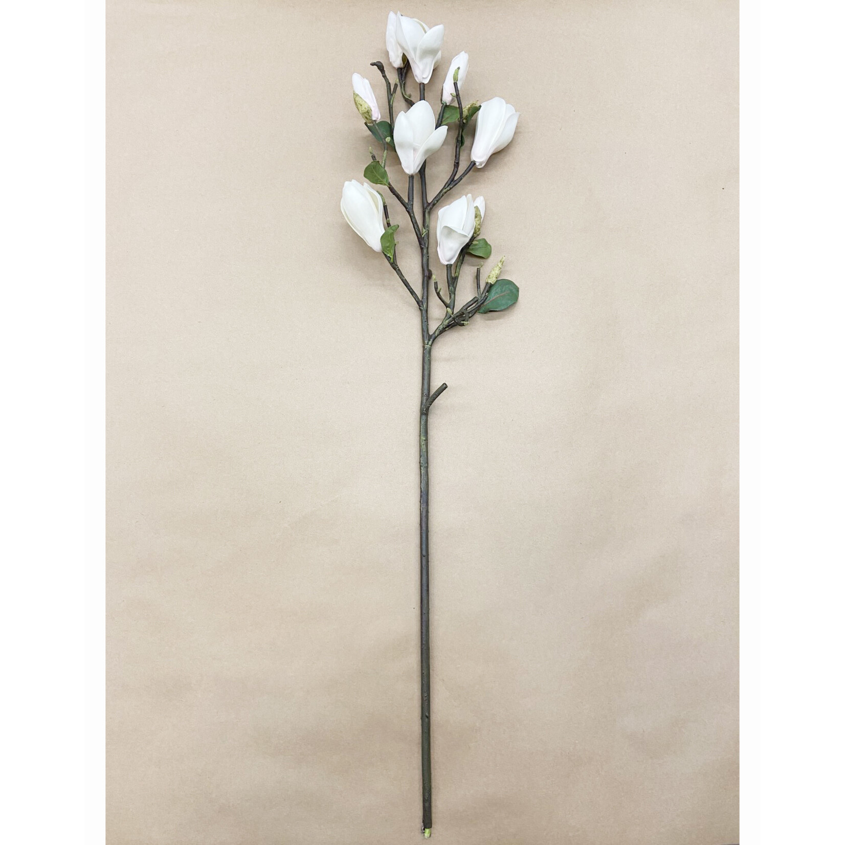 32" MAGNOLIA TREE SPRAY CHAMPAGNE