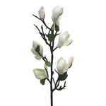 CSM961-CH: 32'' MAGNOLIA TREE SPRAY CHAMPAGNE