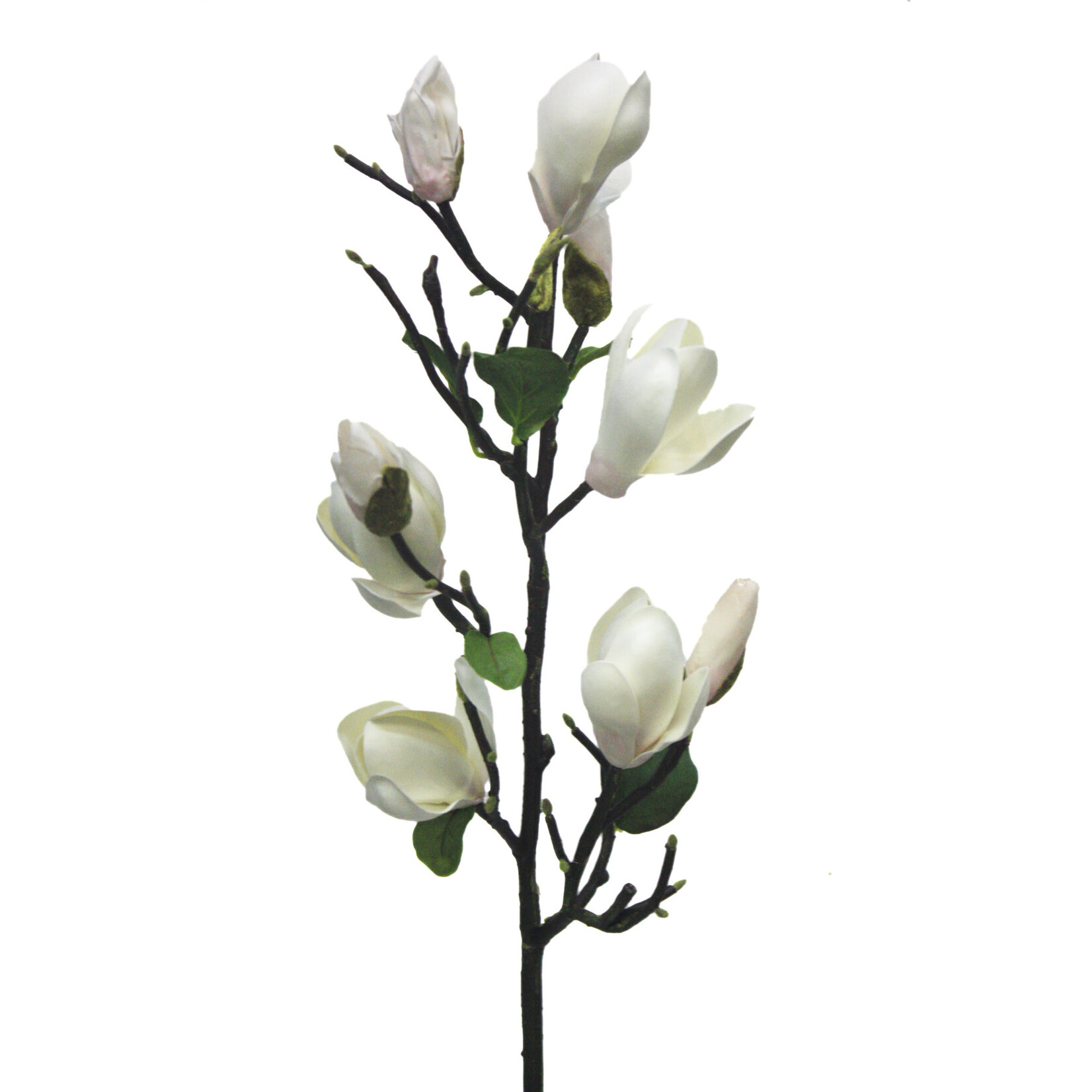 32" MAGNOLIA TREE SPRAY CHAMPAGNE