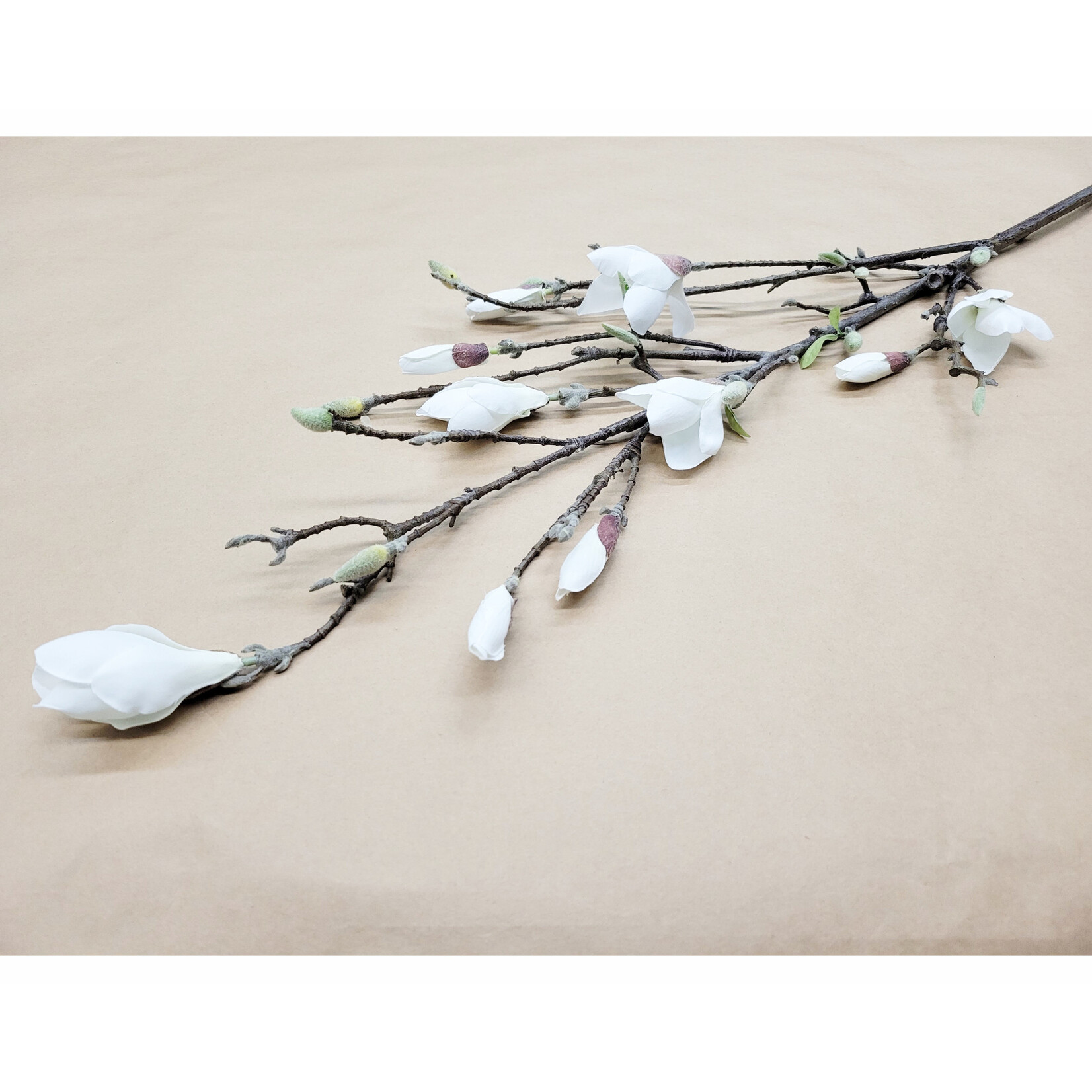 52" MAGNOLIA STEM CREAM