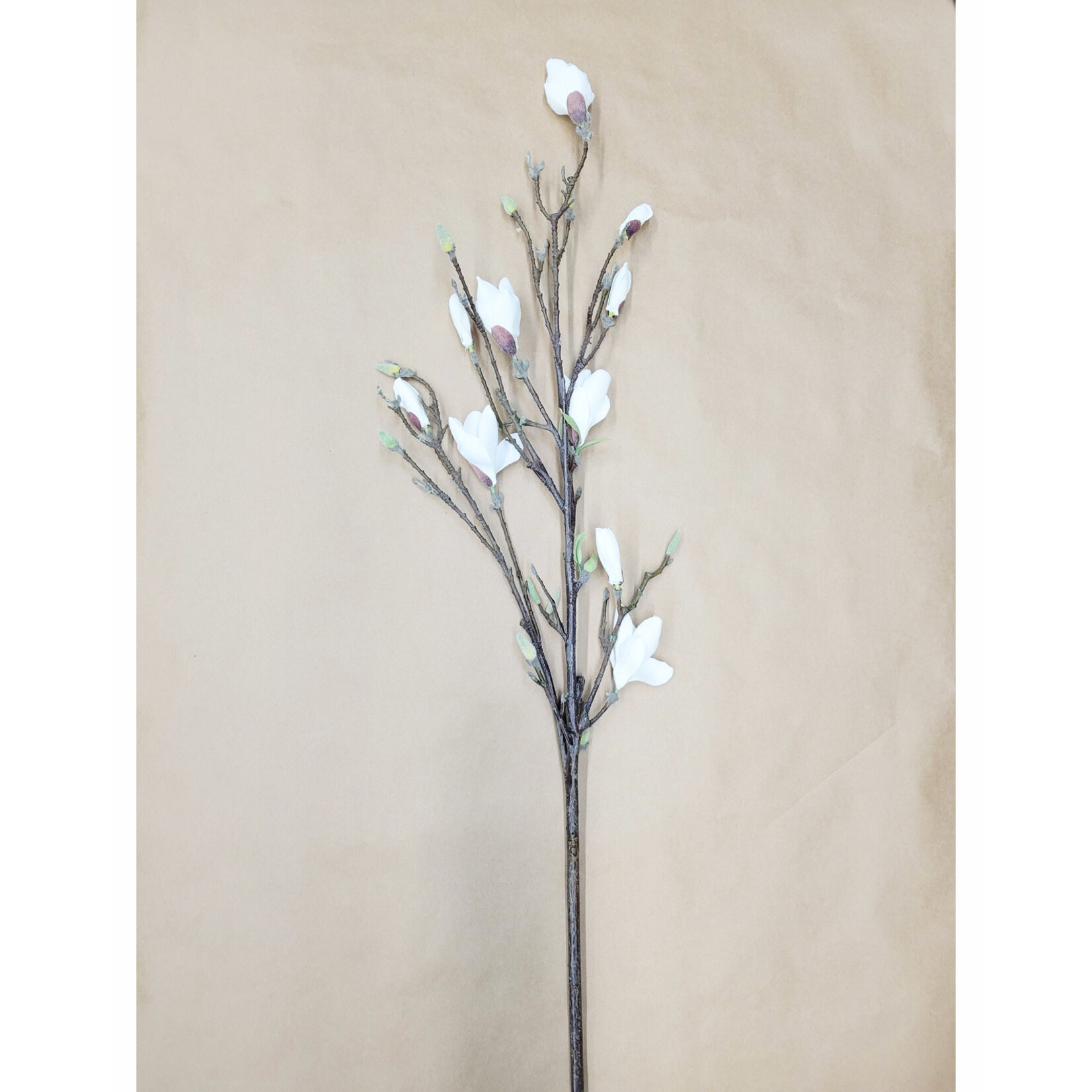 52" MAGNOLIA STEM CREAM