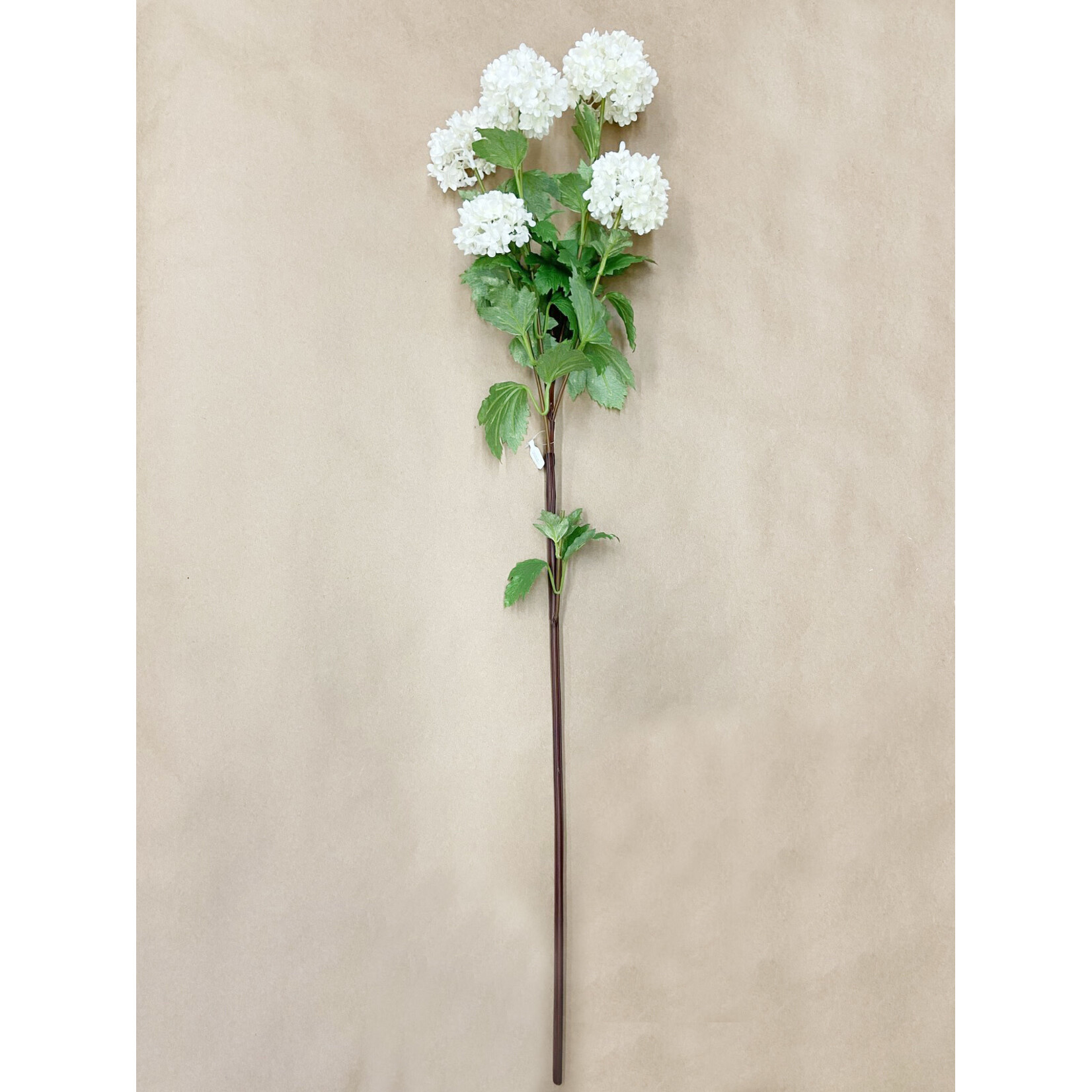 38" SNOWBALL SPRAY CREAM